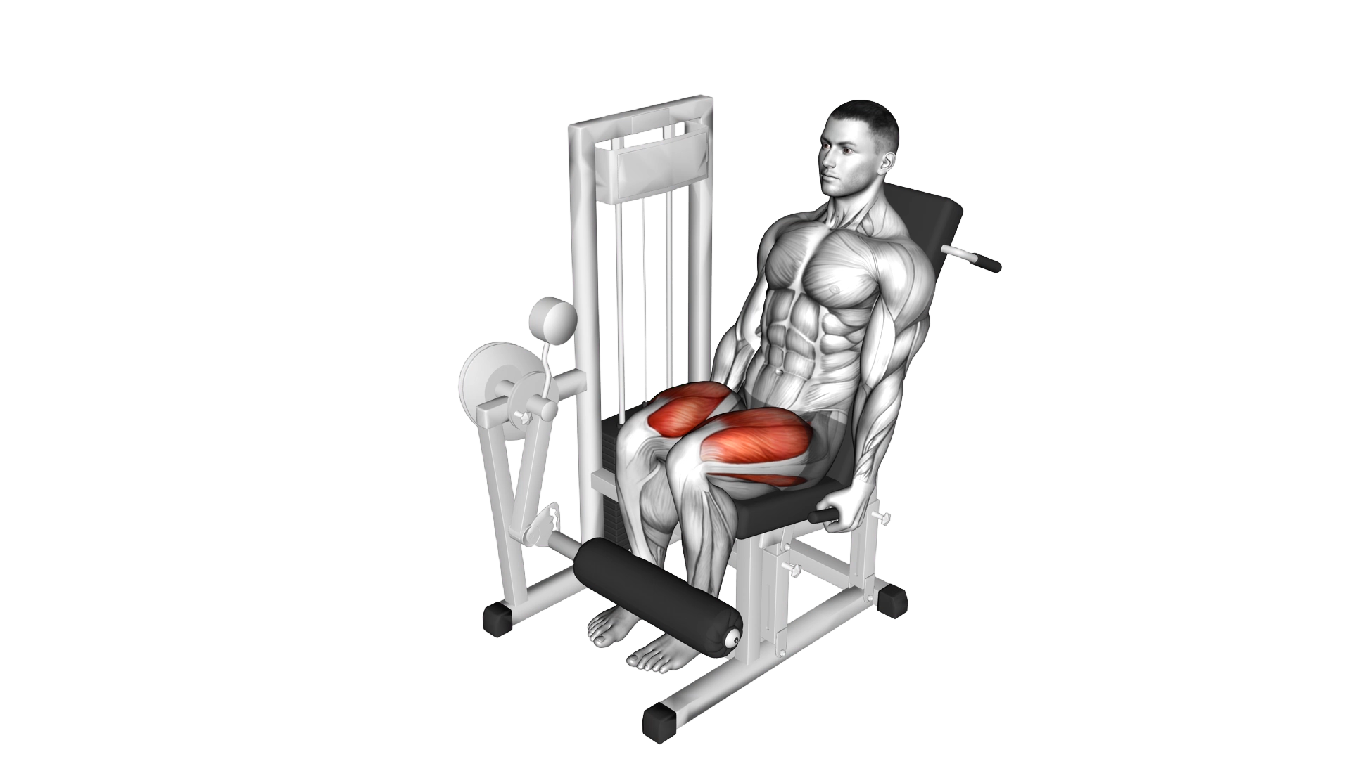 Lever Leg Extension exercise thumbnail