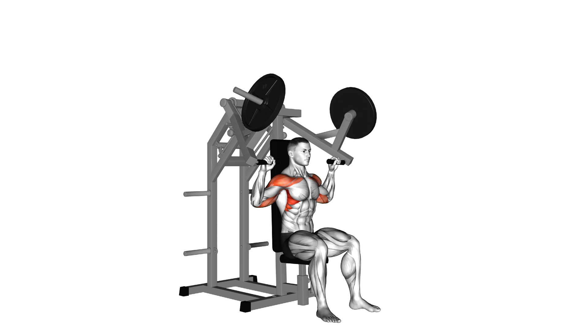 Lever Military Press (plate loaded) exercise thumbnail