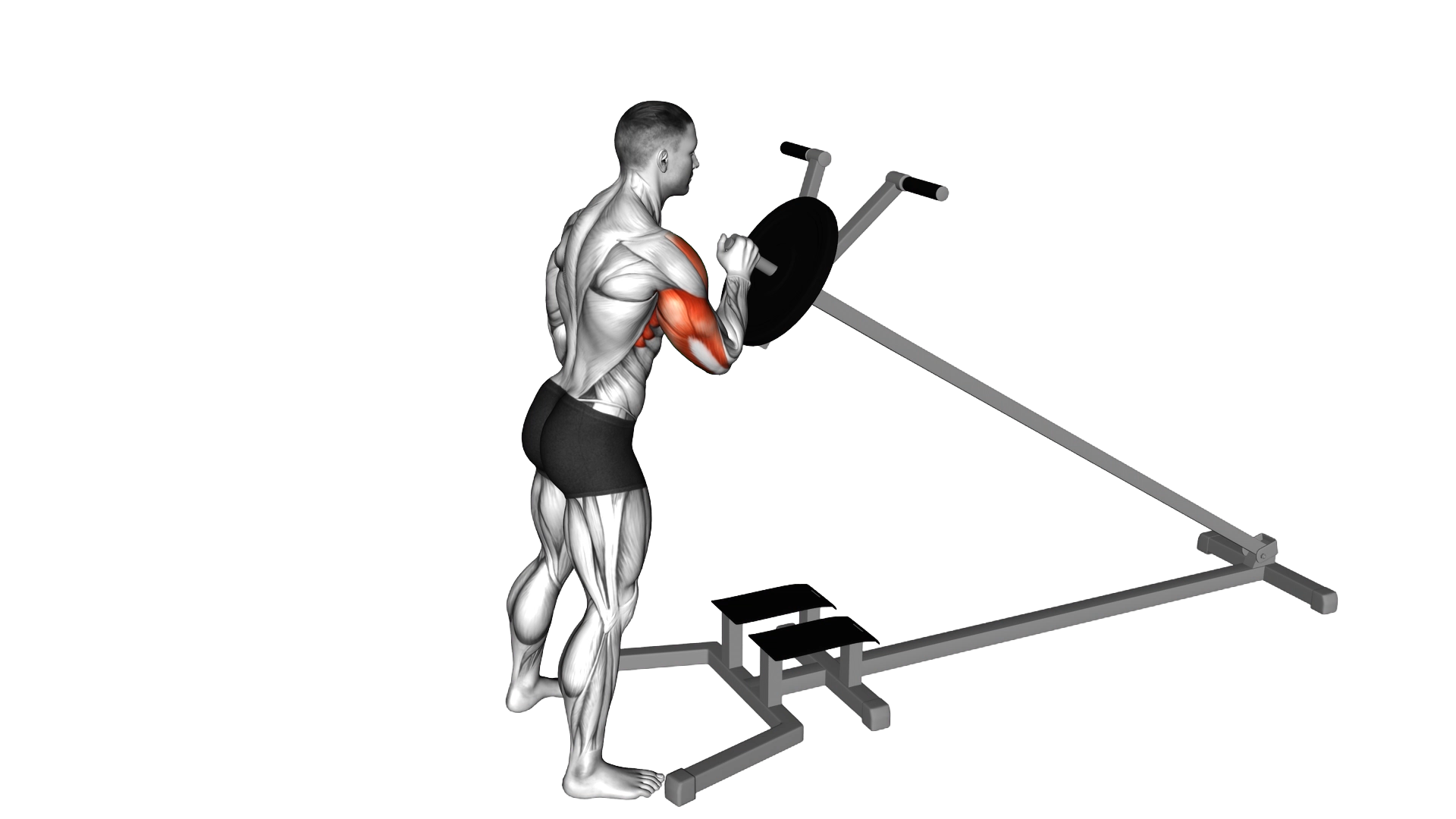 Lever One Arm Shoulder Press (plate loaded) exercise thumbnail
