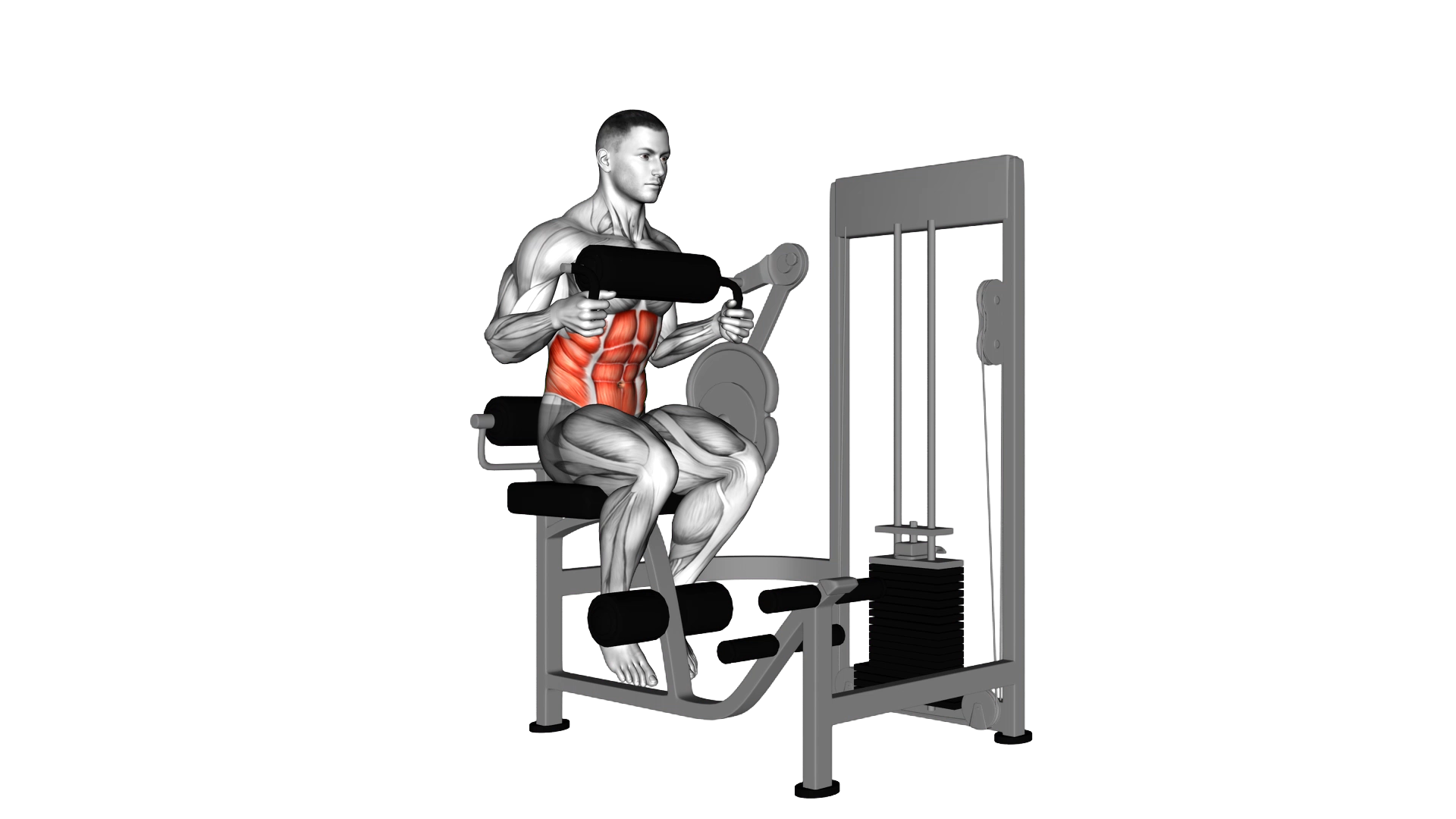 Lever Seated Crunch (chest pad) exercise thumbnail