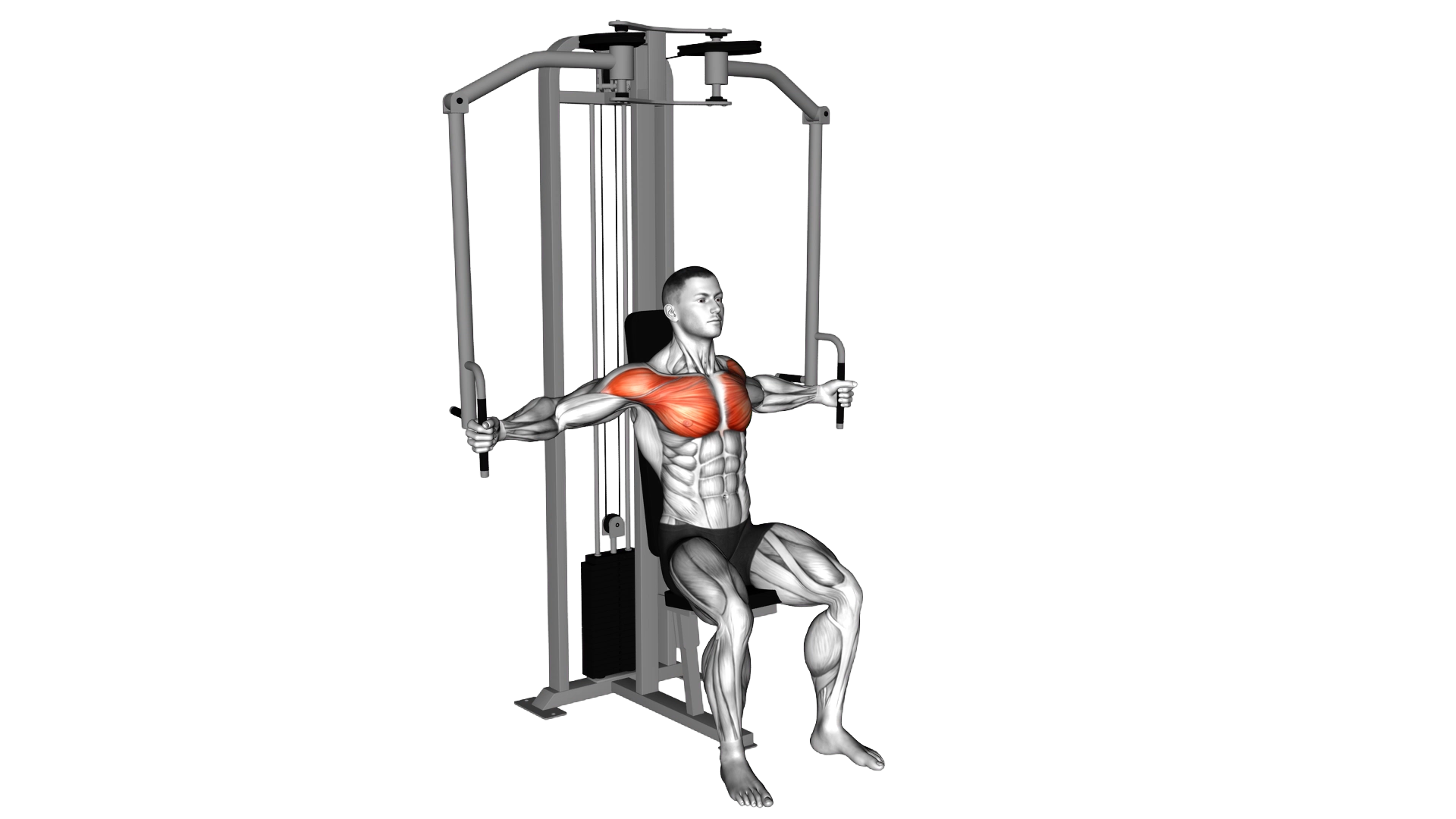 Lever Seated Fly exercise thumbnail