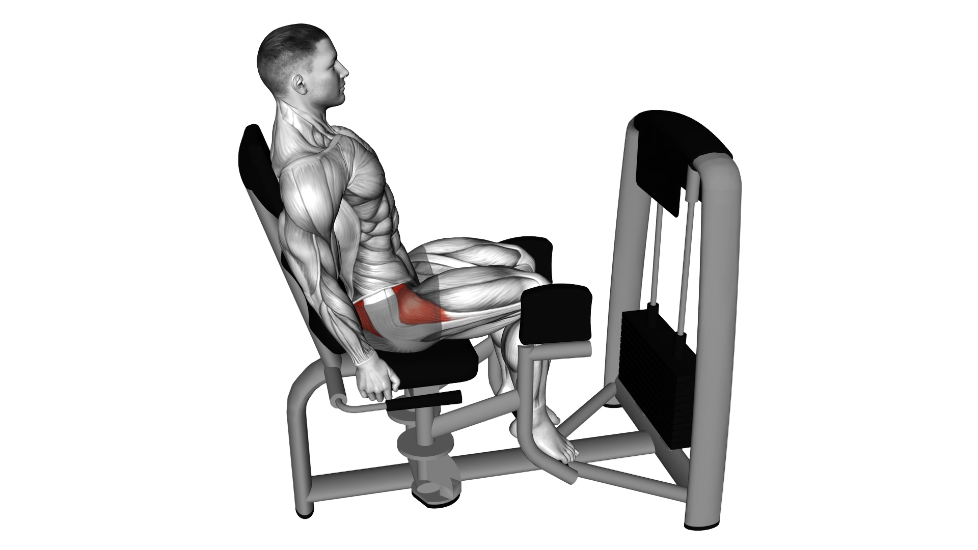 Lever Seated Hip Abduction exercise demonstration