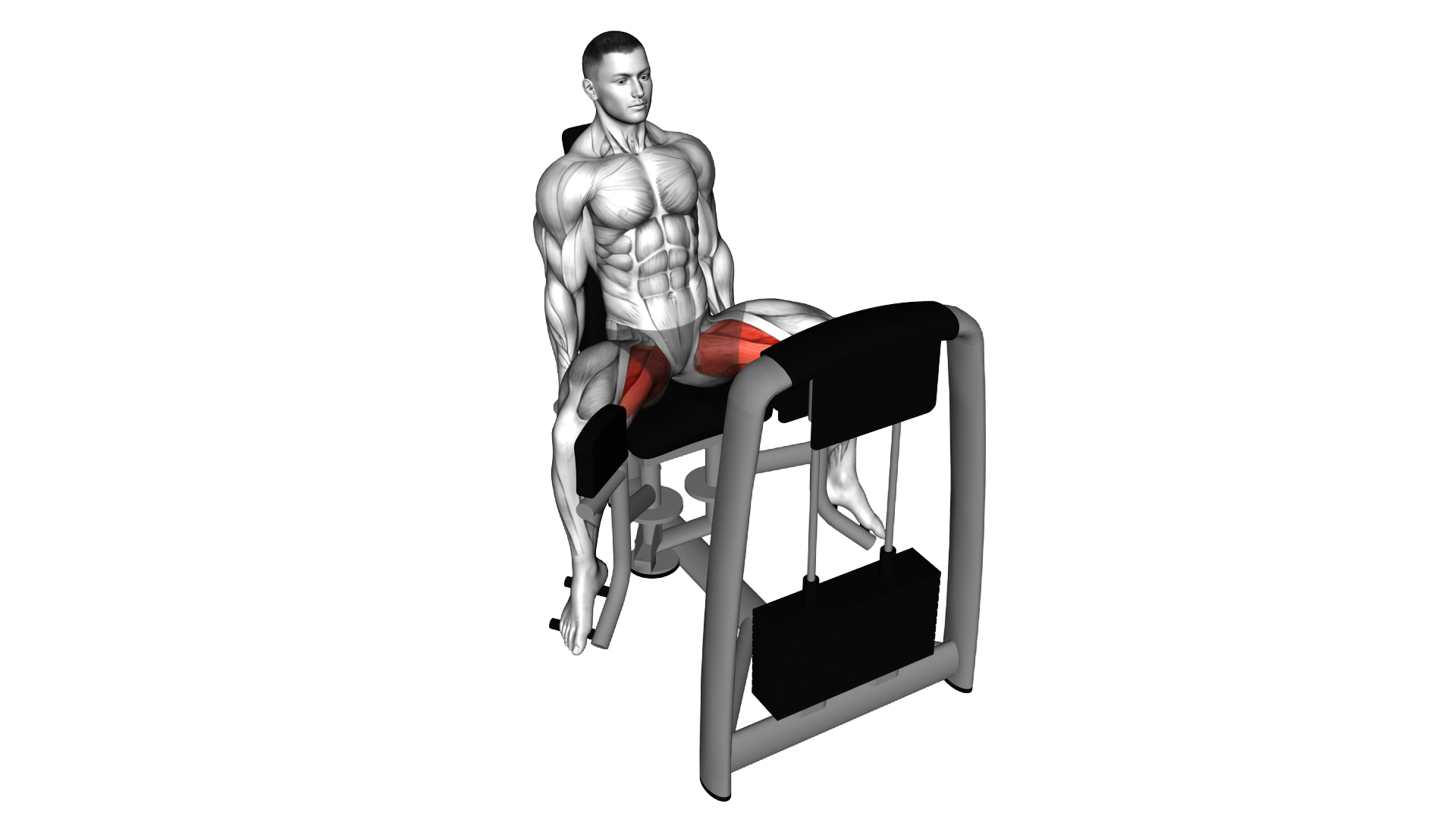 Lever Seated Hip Adduction exercise demonstration
