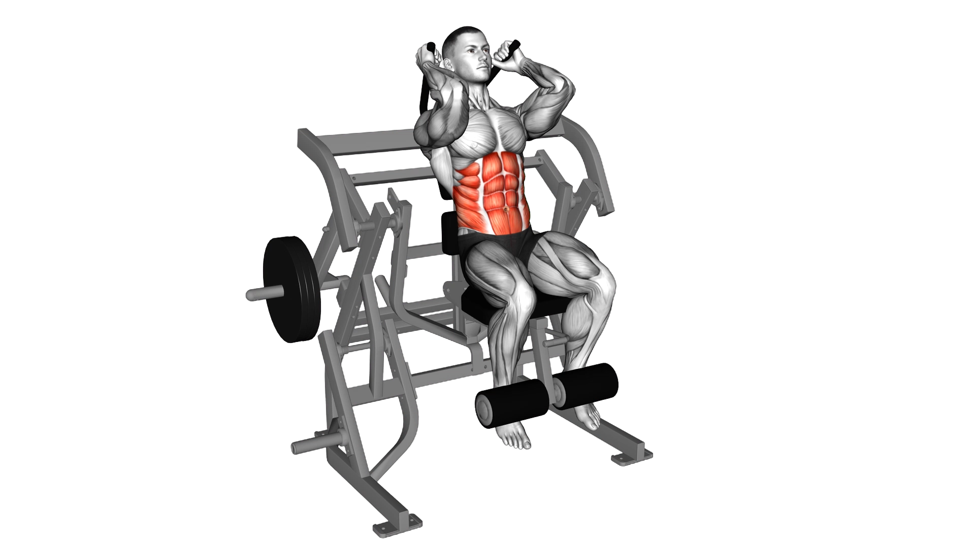 Lever Seated Leg Raise Crunch (plate loaded) exercise demonstration