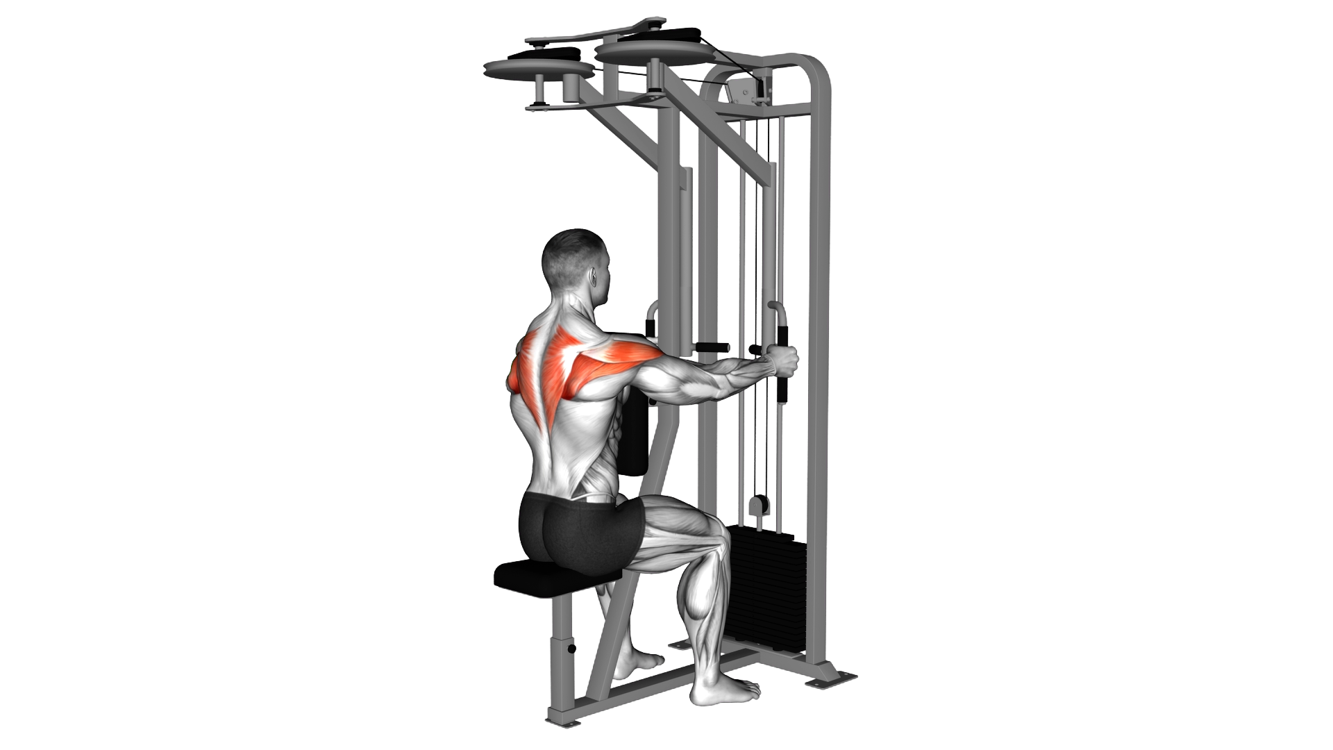 Lever Seated Reverse Fly (parallel grip) exercise demonstration