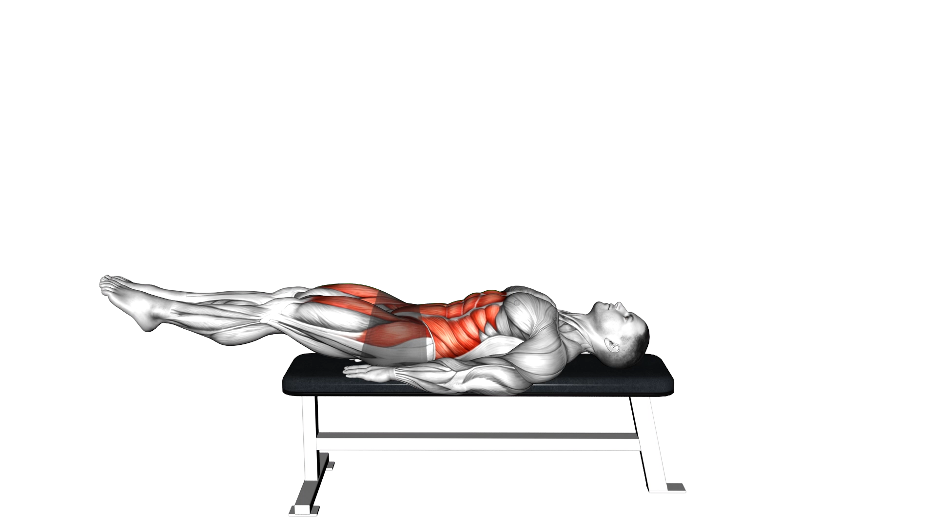 Lying Leg Raise Flat Bench exercise thumbnail
