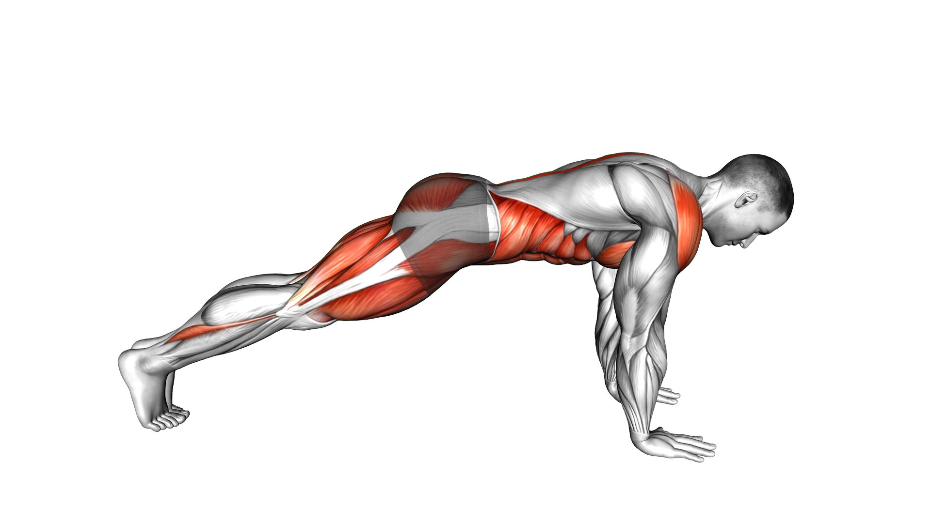 Mountain Climber exercise demonstration