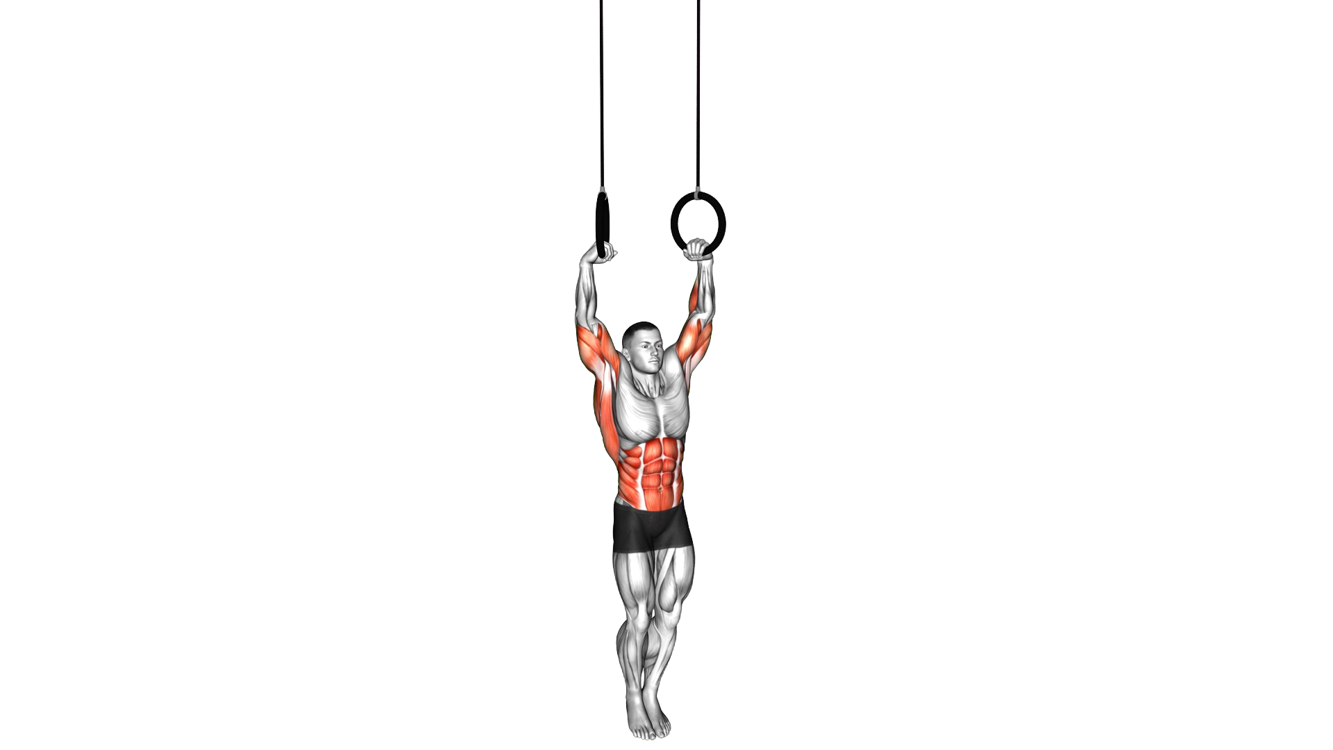 Muscle Up exercise demonstration
