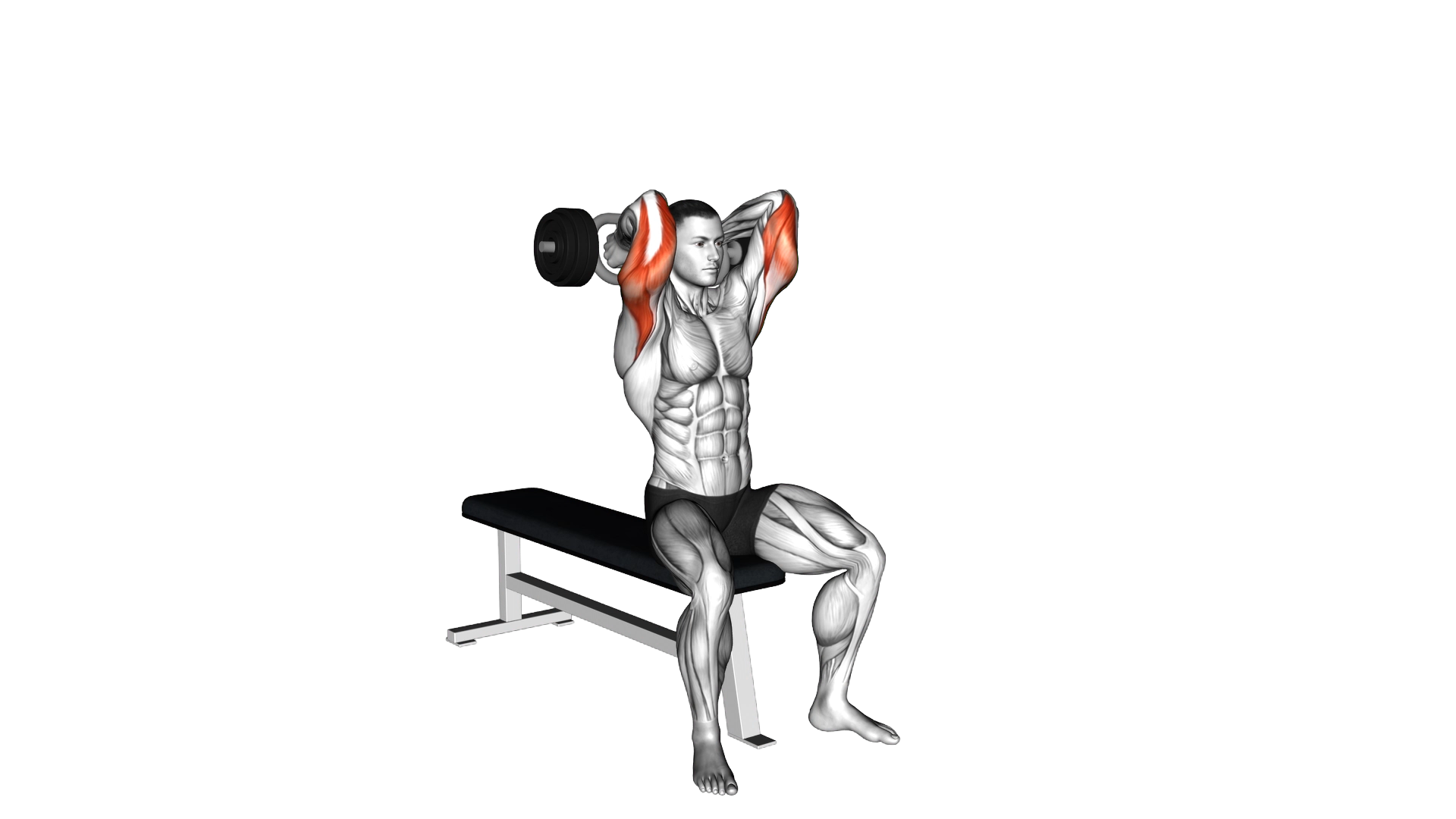 Olympic Barbell Triceps Extension exercise demonstration