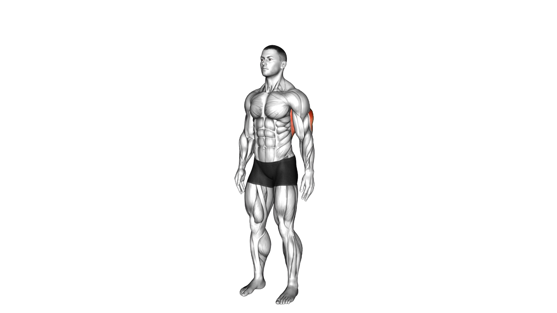 Overhead Triceps Stretch exercise demonstration