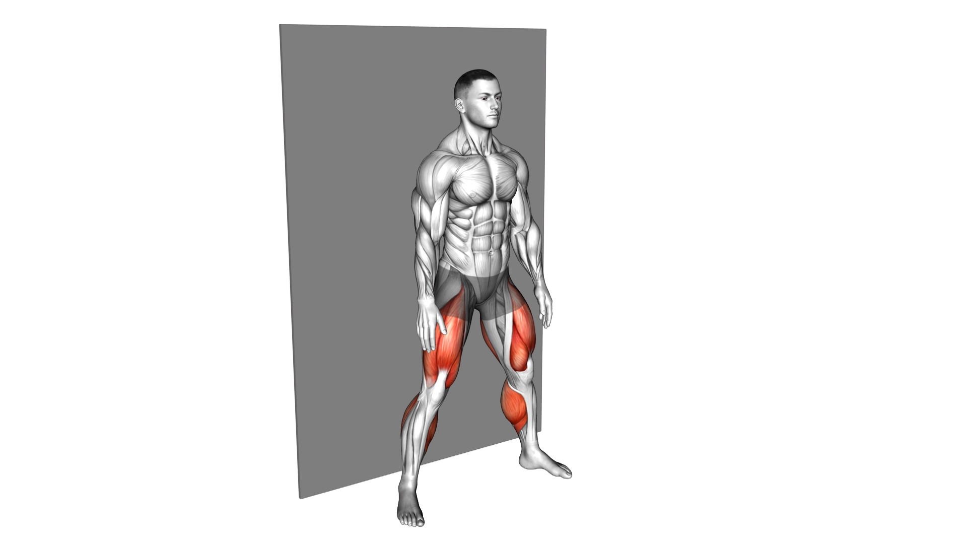 Plyo Sit Squat (wall) exercise demonstration