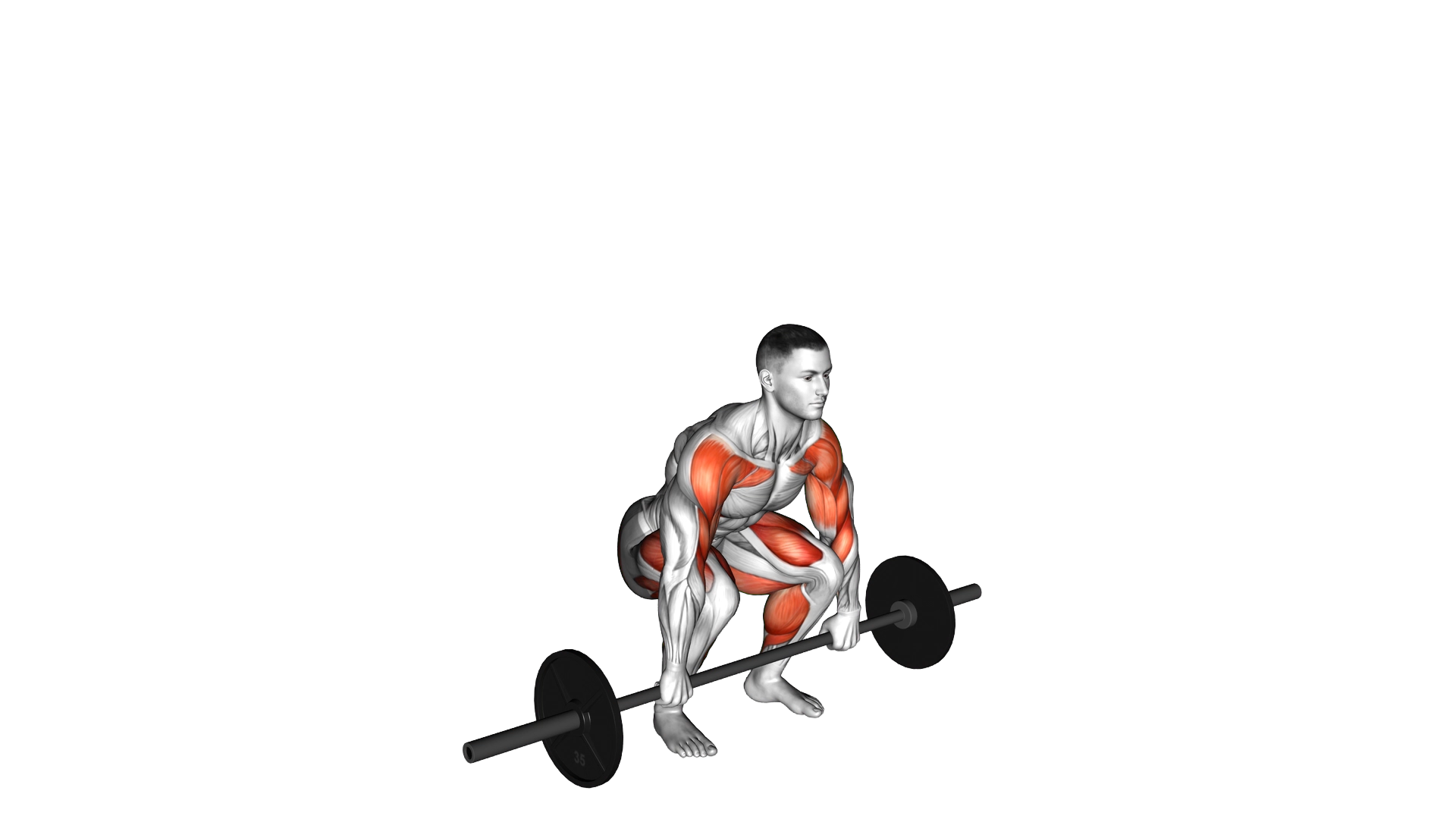 Power Clean exercise demonstration