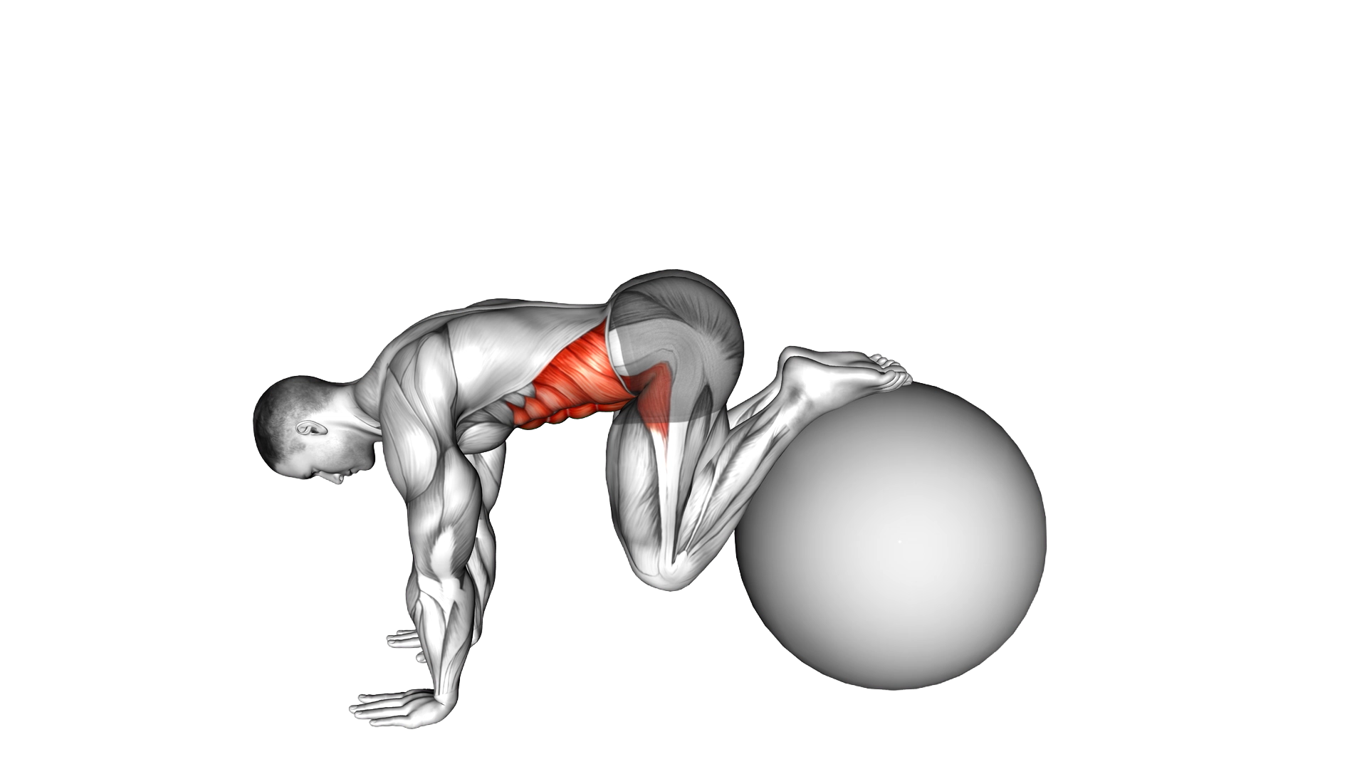 Pull In (on stability ball) exercise thumbnail