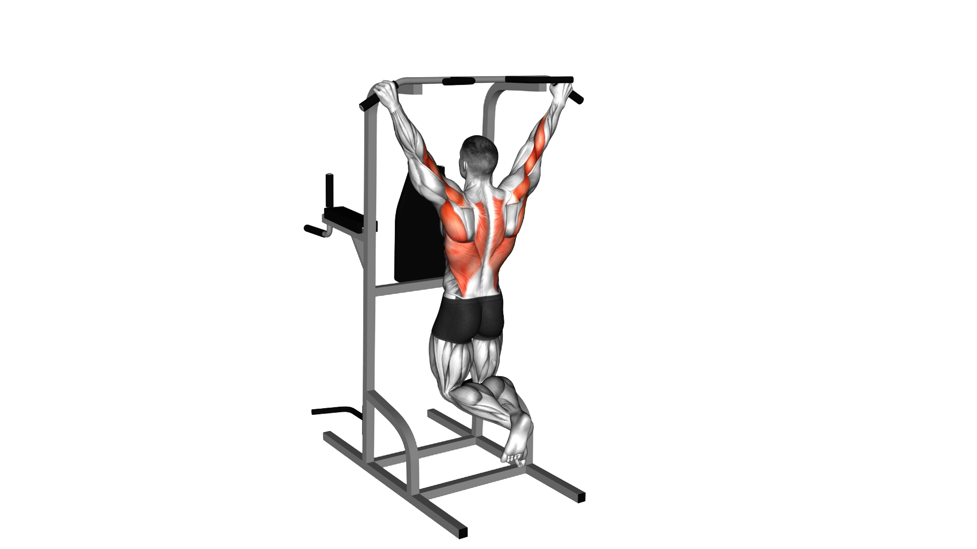 Pull up (wide grip) exercise demonstration