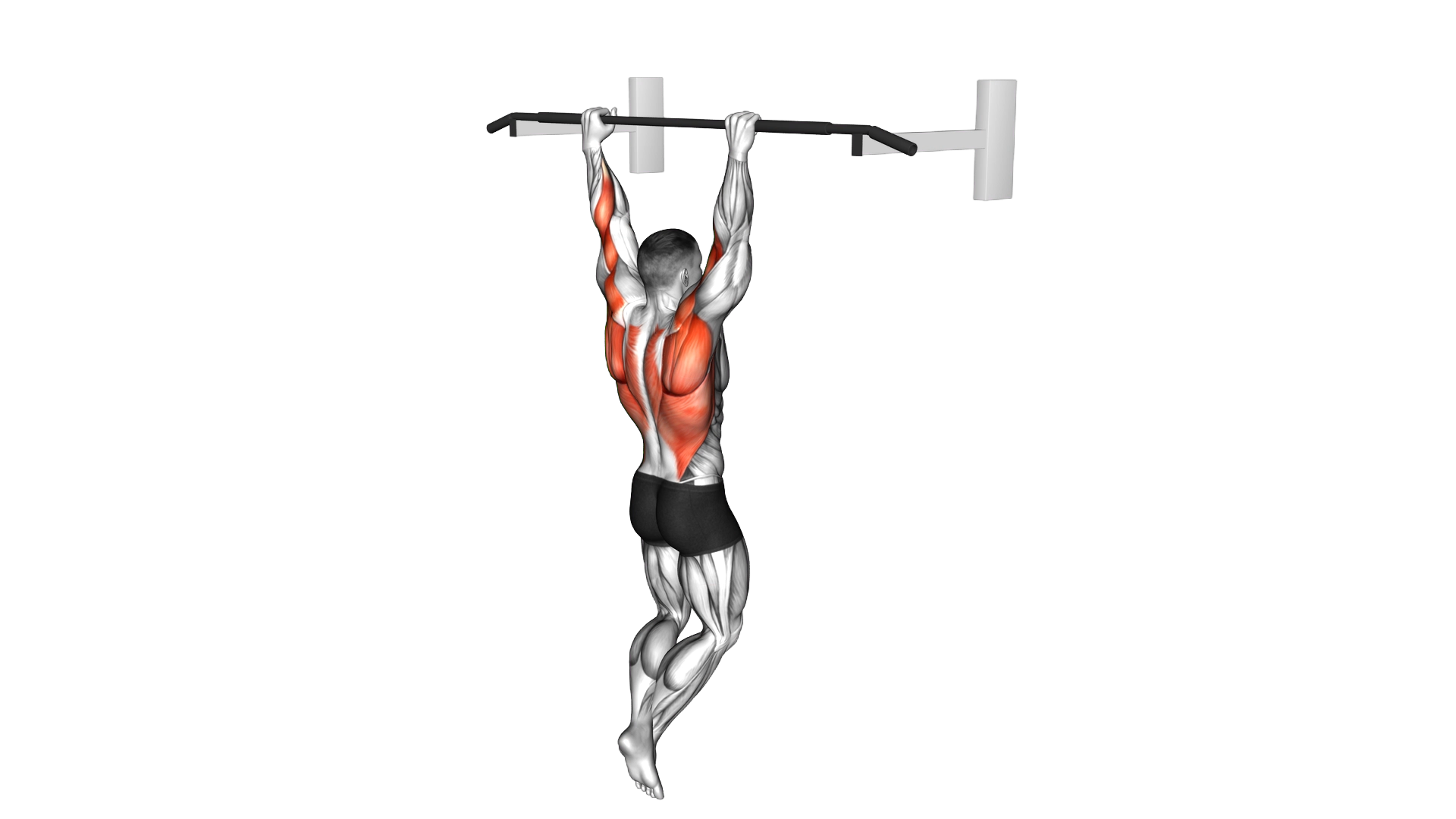 Pull up exercise demonstration