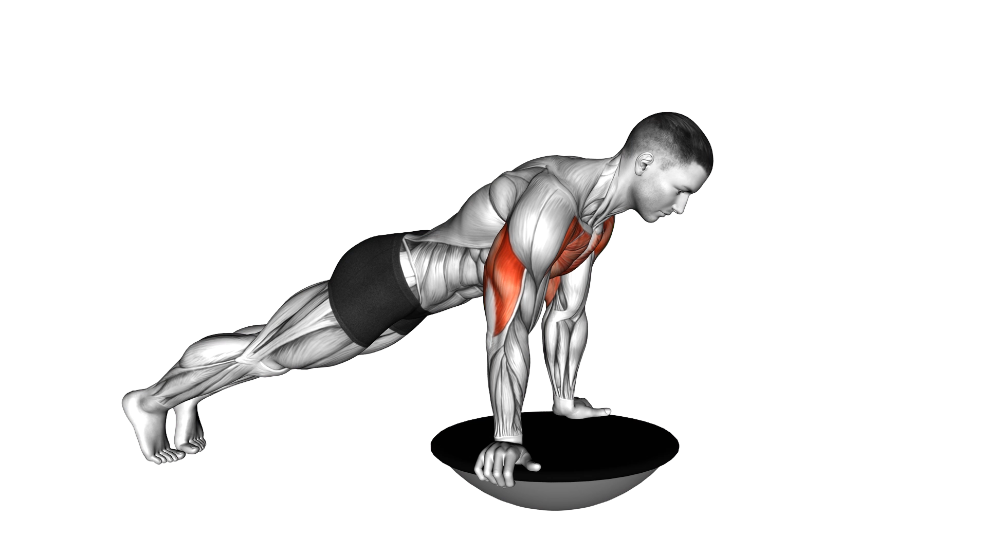 Push up (bosu ball) exercise demonstration