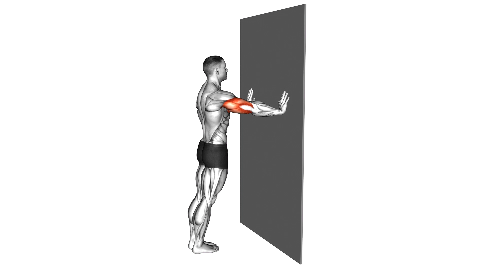 Push up (wall) II exercise thumbnail