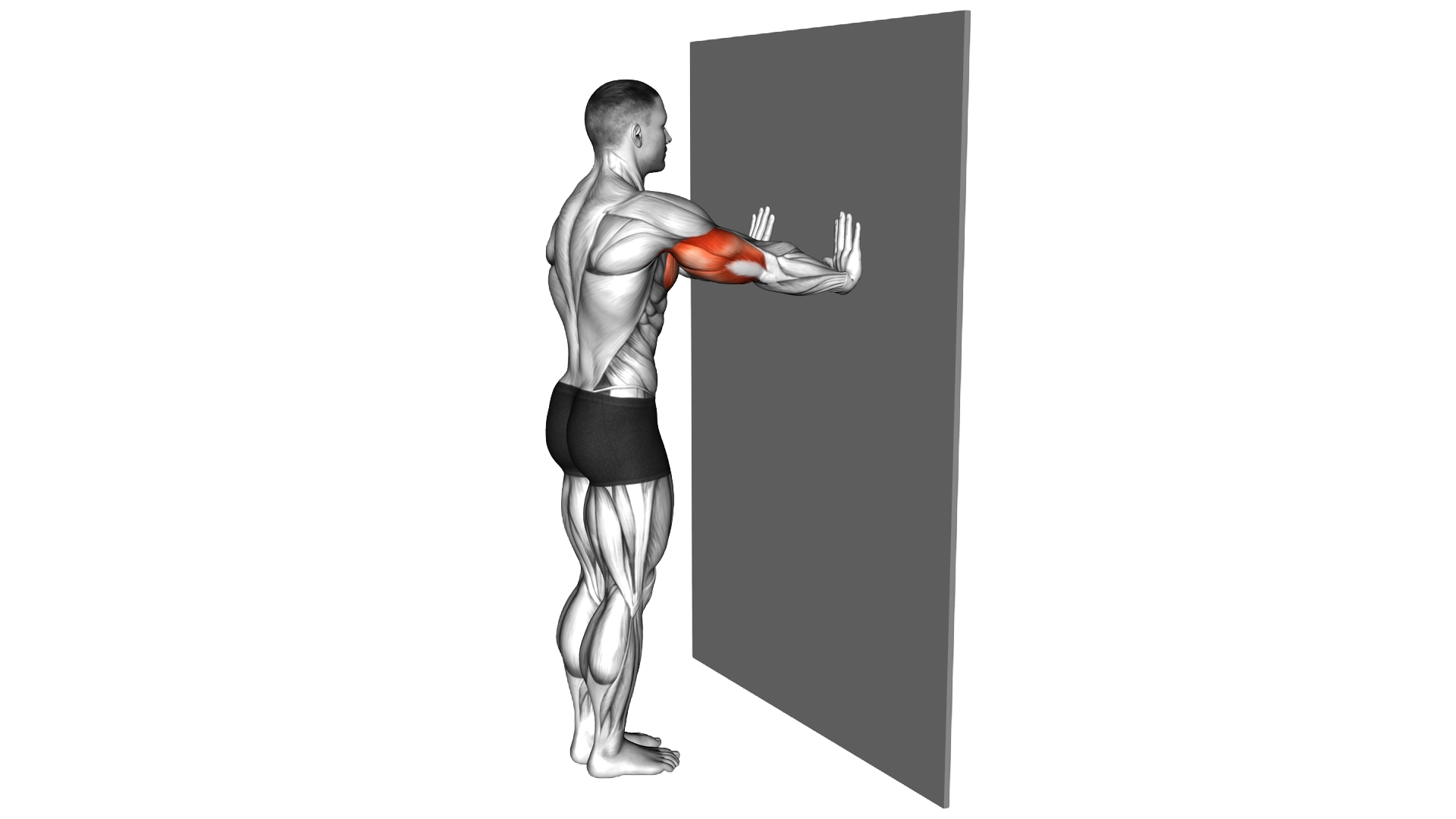 Push up (wall) exercise demonstration