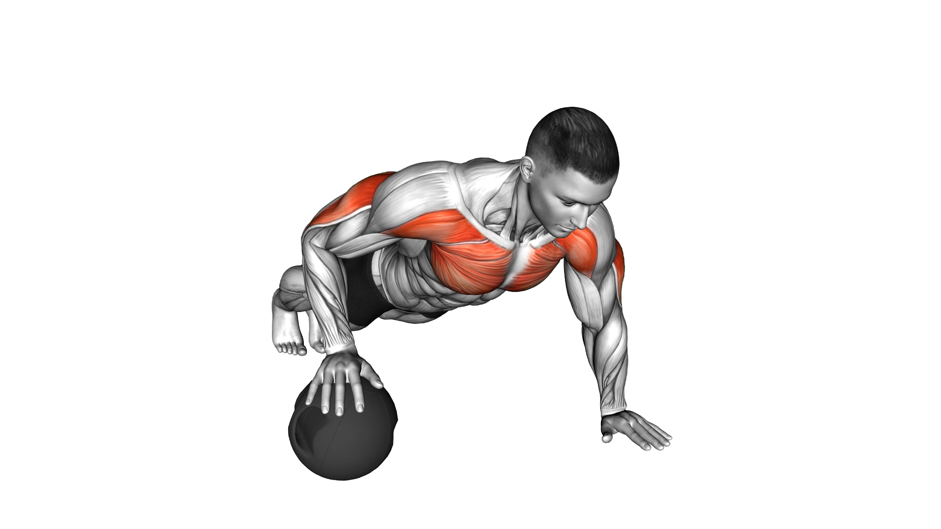 Push Up Medicine Ball exercise thumbnail