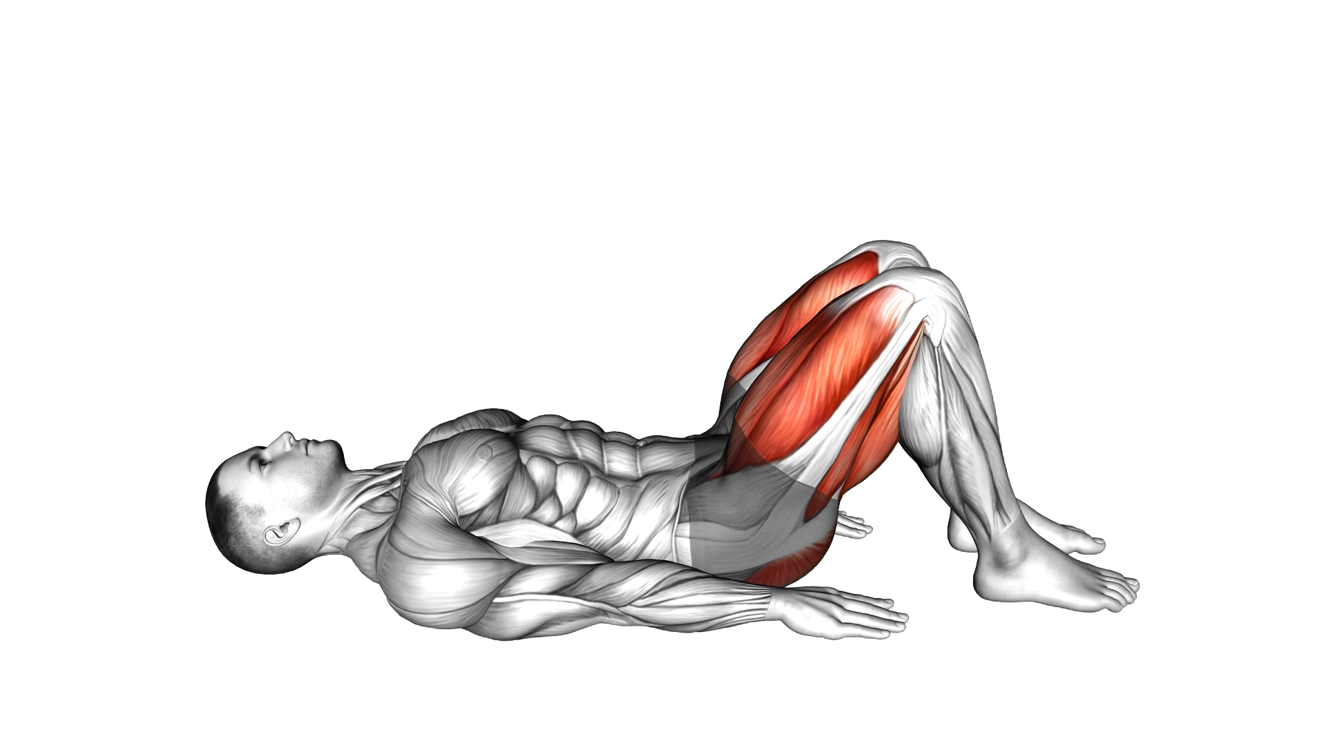 Rear Decline Bridge exercise demonstration