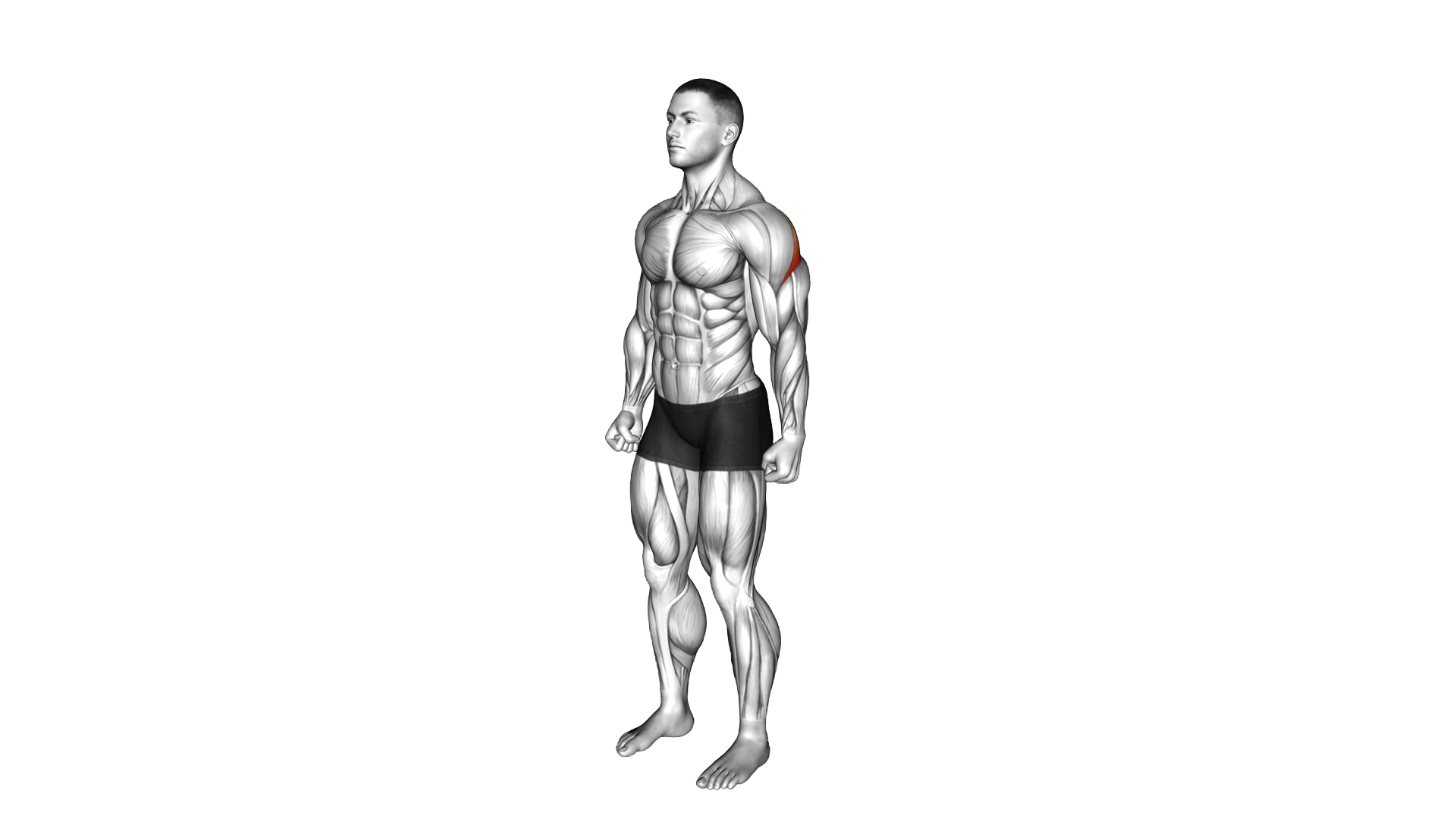 Rear Deltoid Stretch exercise demonstration