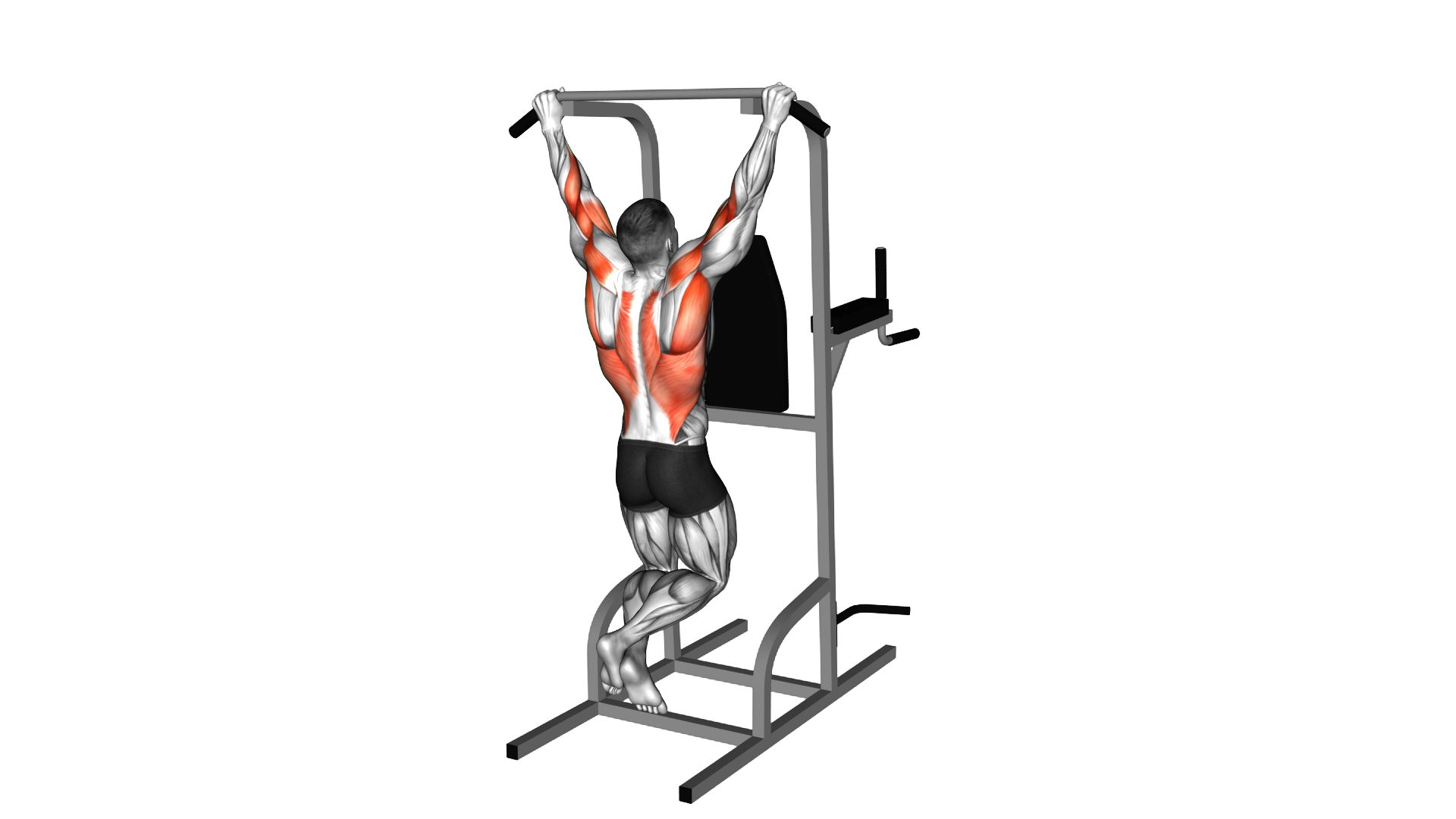 Rear Pull up exercise thumbnail