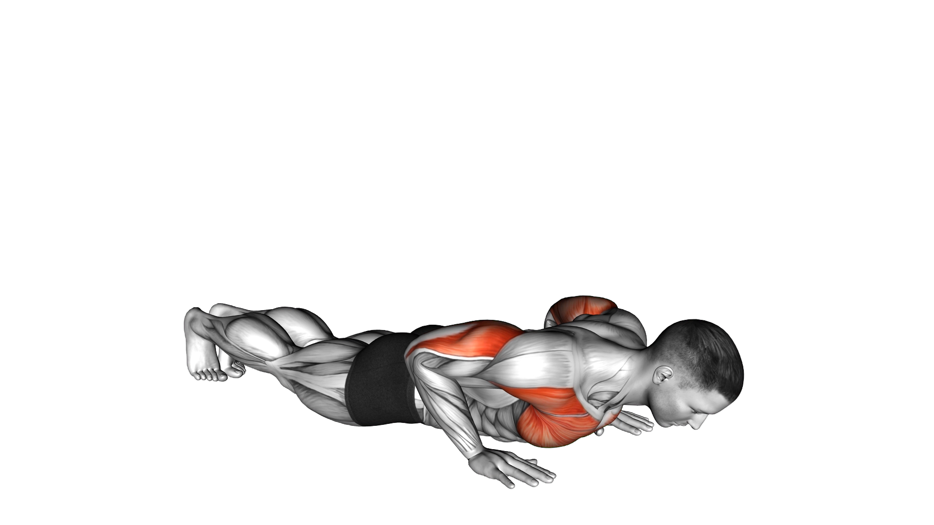 Reverse Dip exercise demonstration