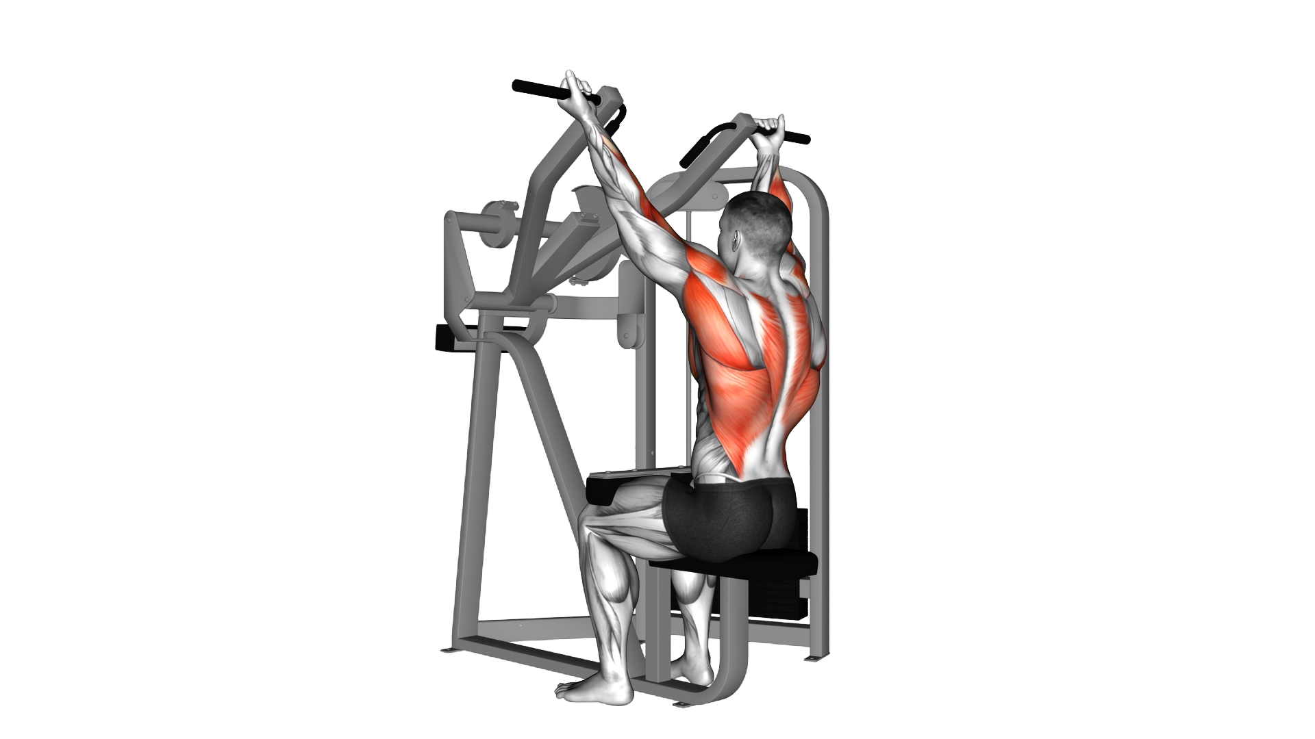 reverse grip machine lat pulldown exercise demonstration
