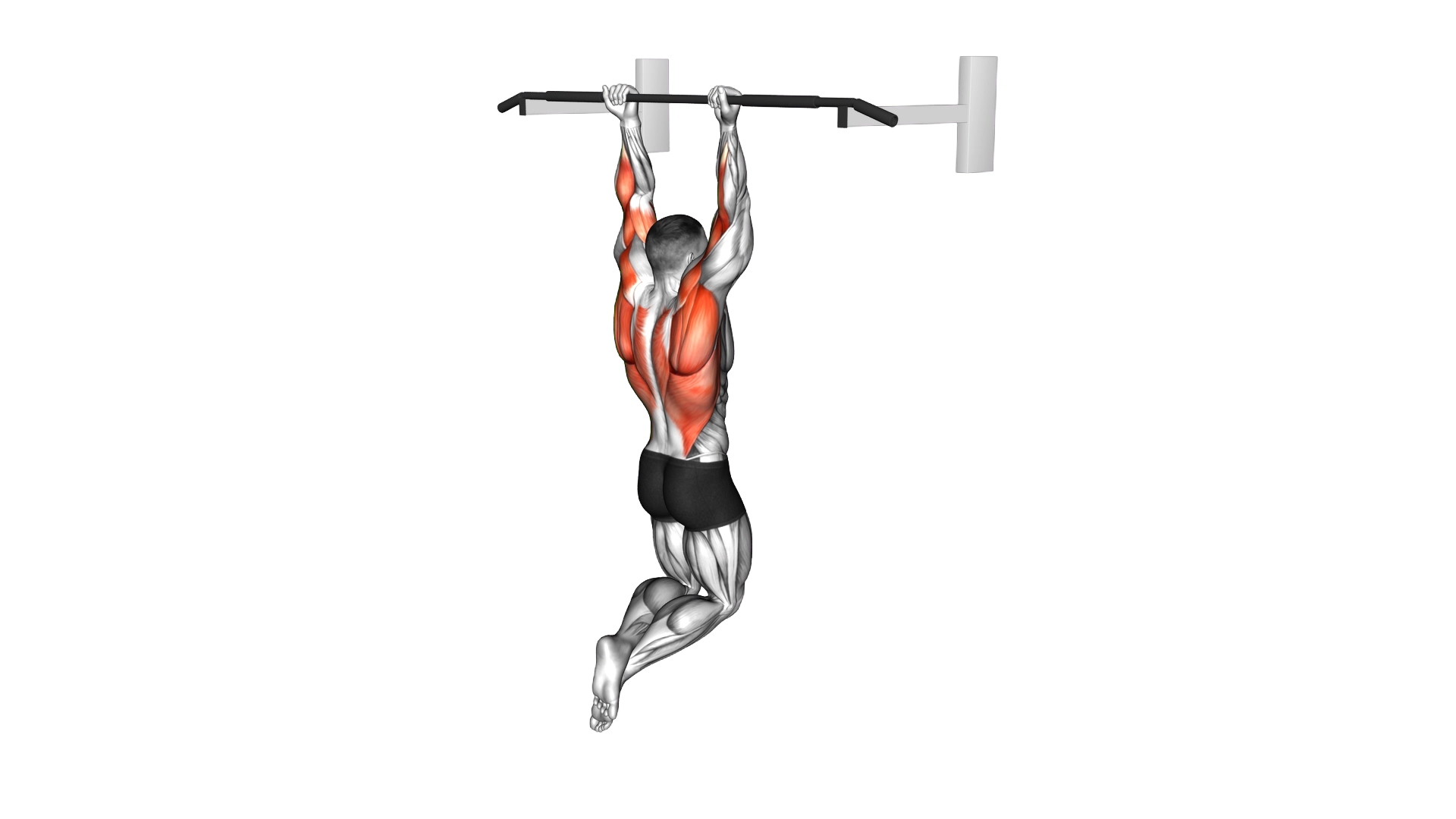 Reverse grip Pull up exercise demonstration