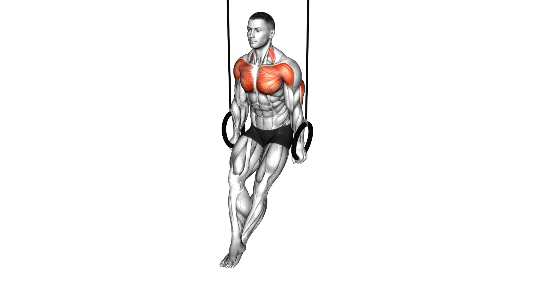 Ring Dip exercise demonstration