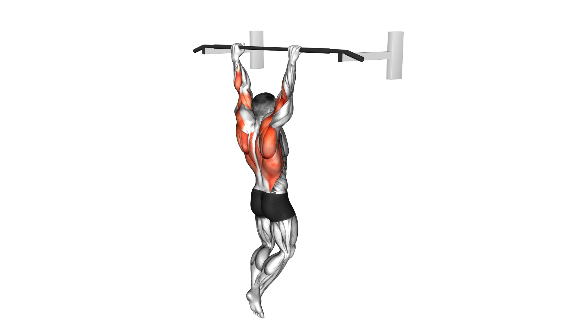 Rocky Pull Up Pulldown exercise thumbnail