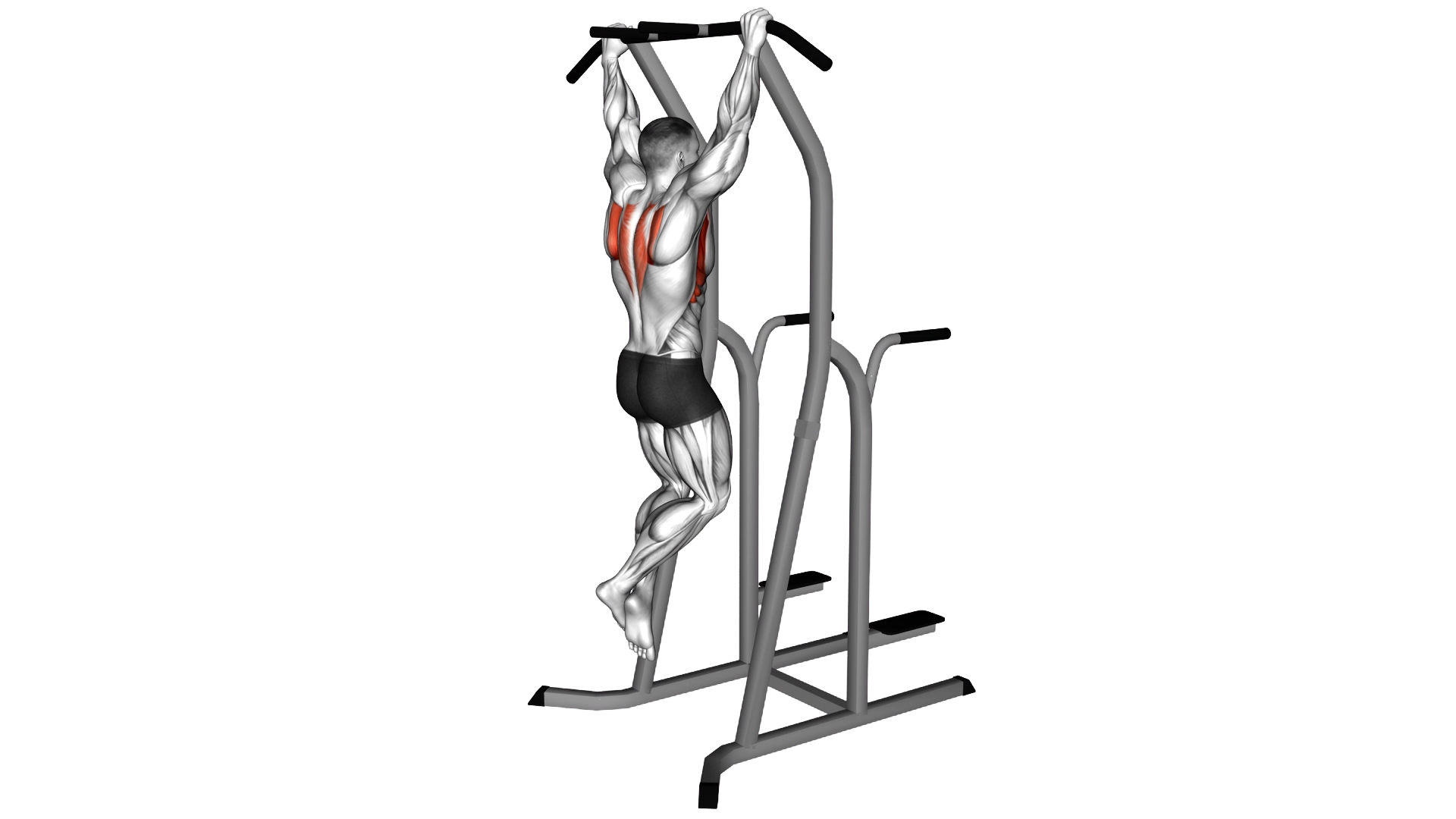 Scapular Pull Up exercise thumbnail