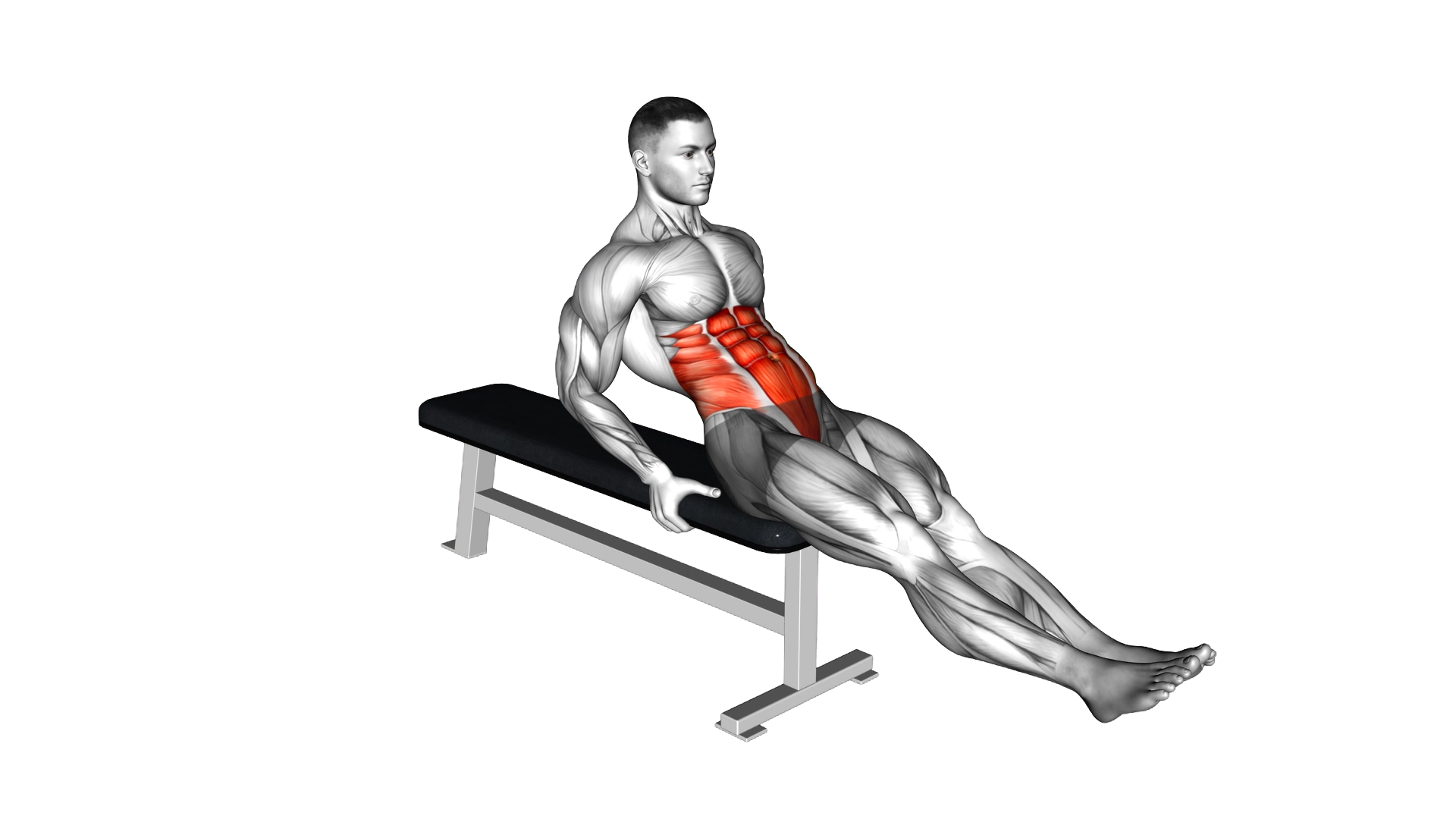 Seated Leg Raise exercise demonstration