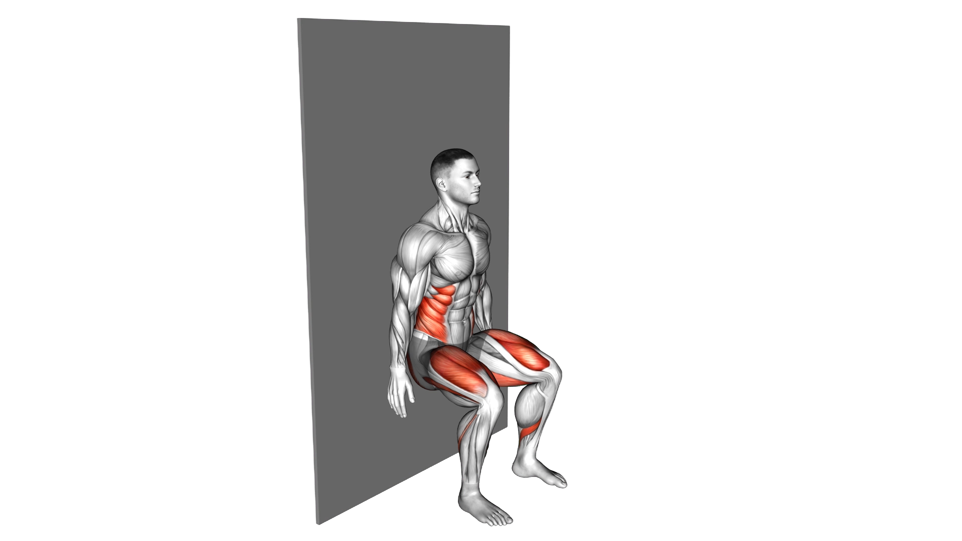 Seated Side Crunch (Wall) exercise demonstration