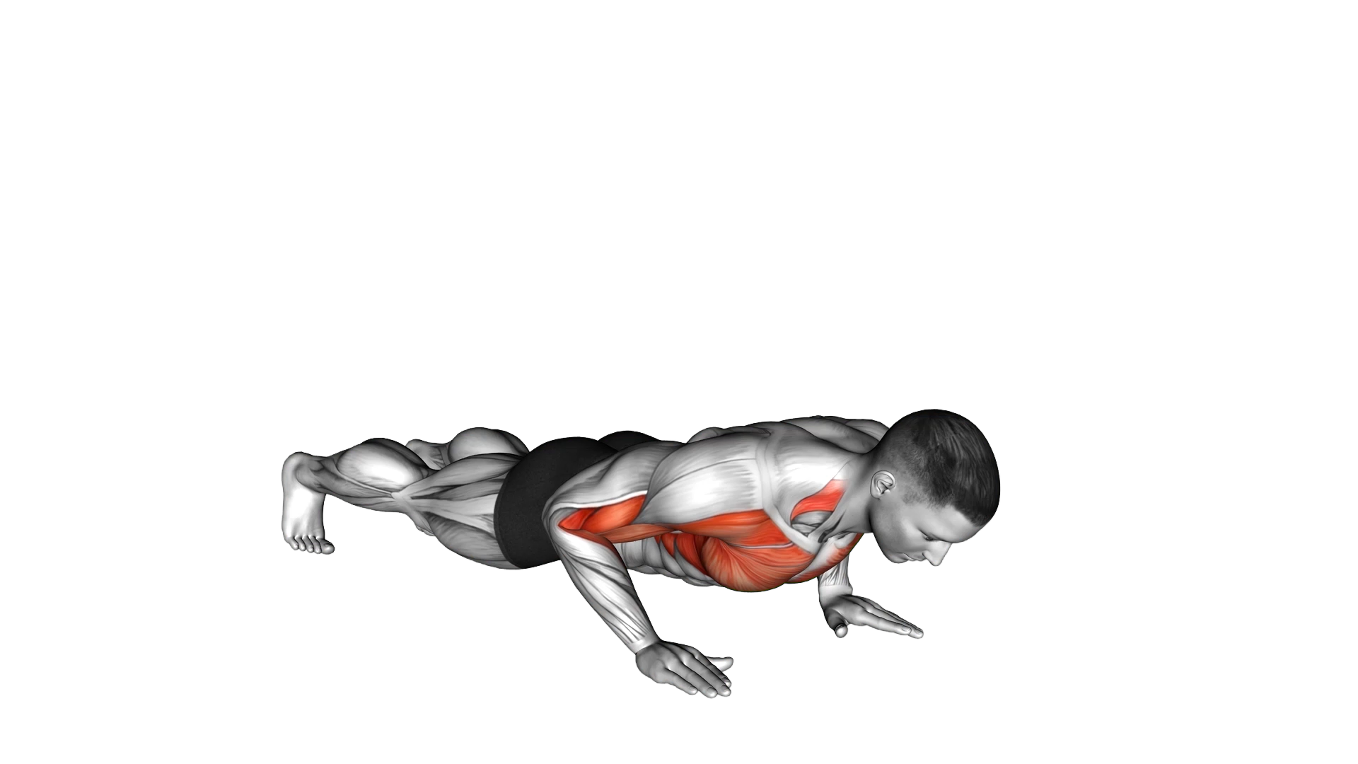 Shoulder Tap Push up exercise demonstration