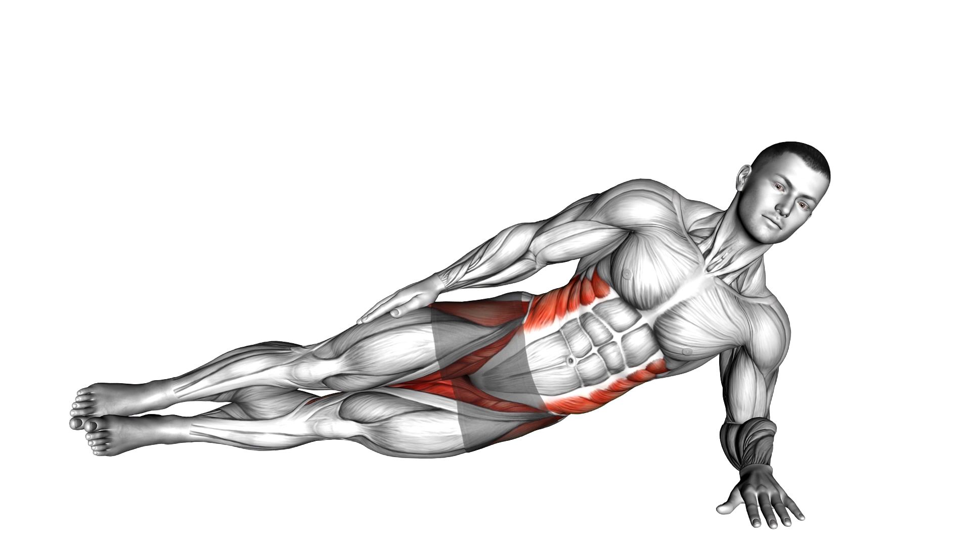 Side Plank exercise demonstration