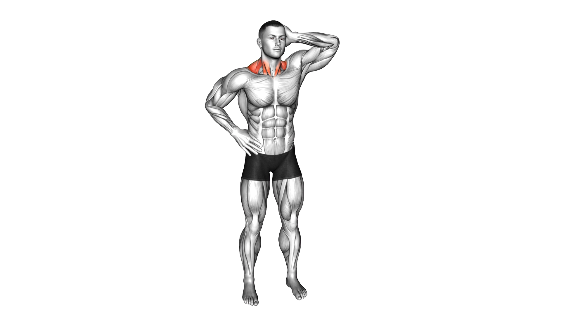 Side Push Neck Stretch exercise demonstration