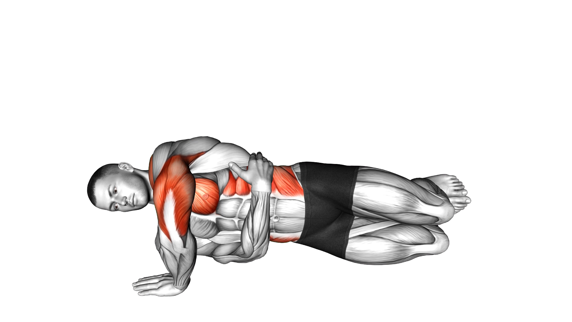 Side Push up exercise demonstration