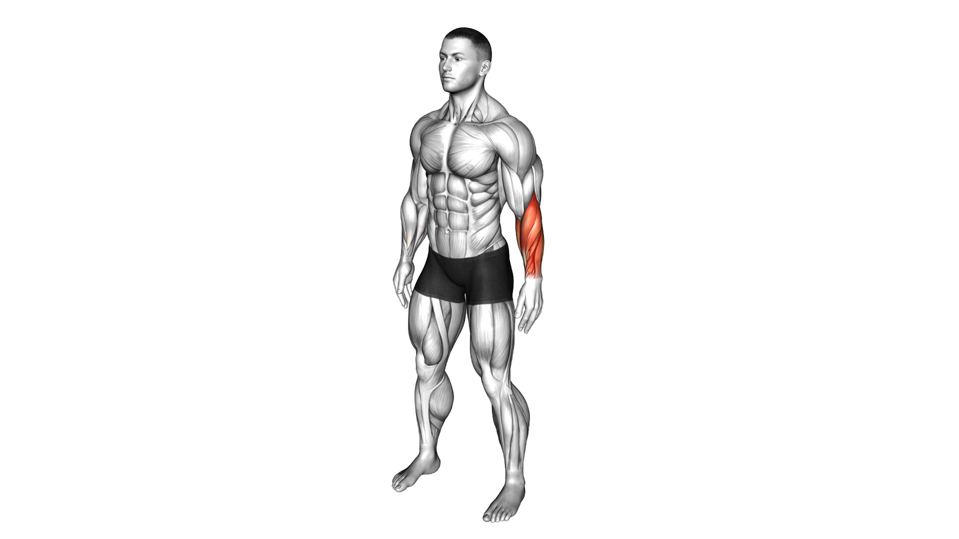 Side Wrist Pull Stretch exercise demonstration