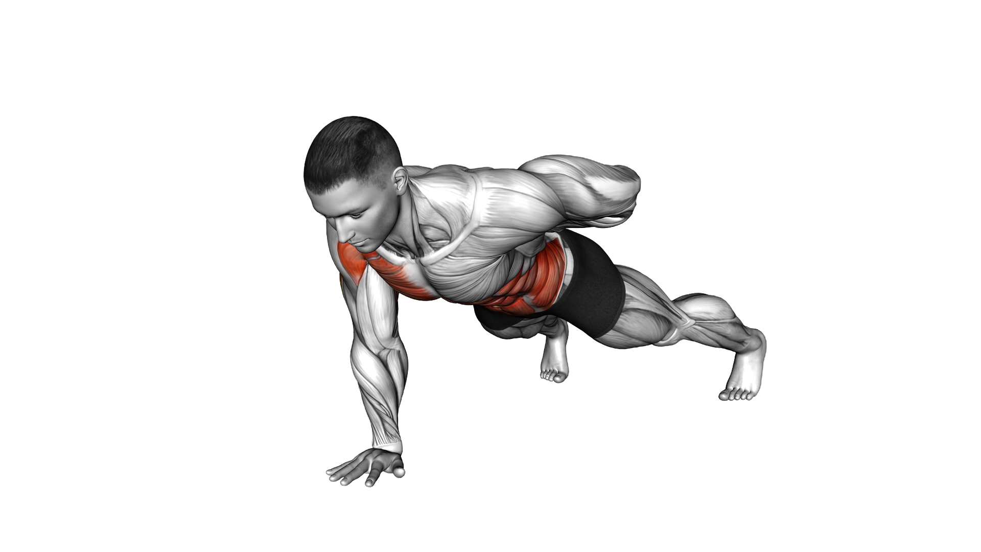 Single Arm Push up exercise demonstration