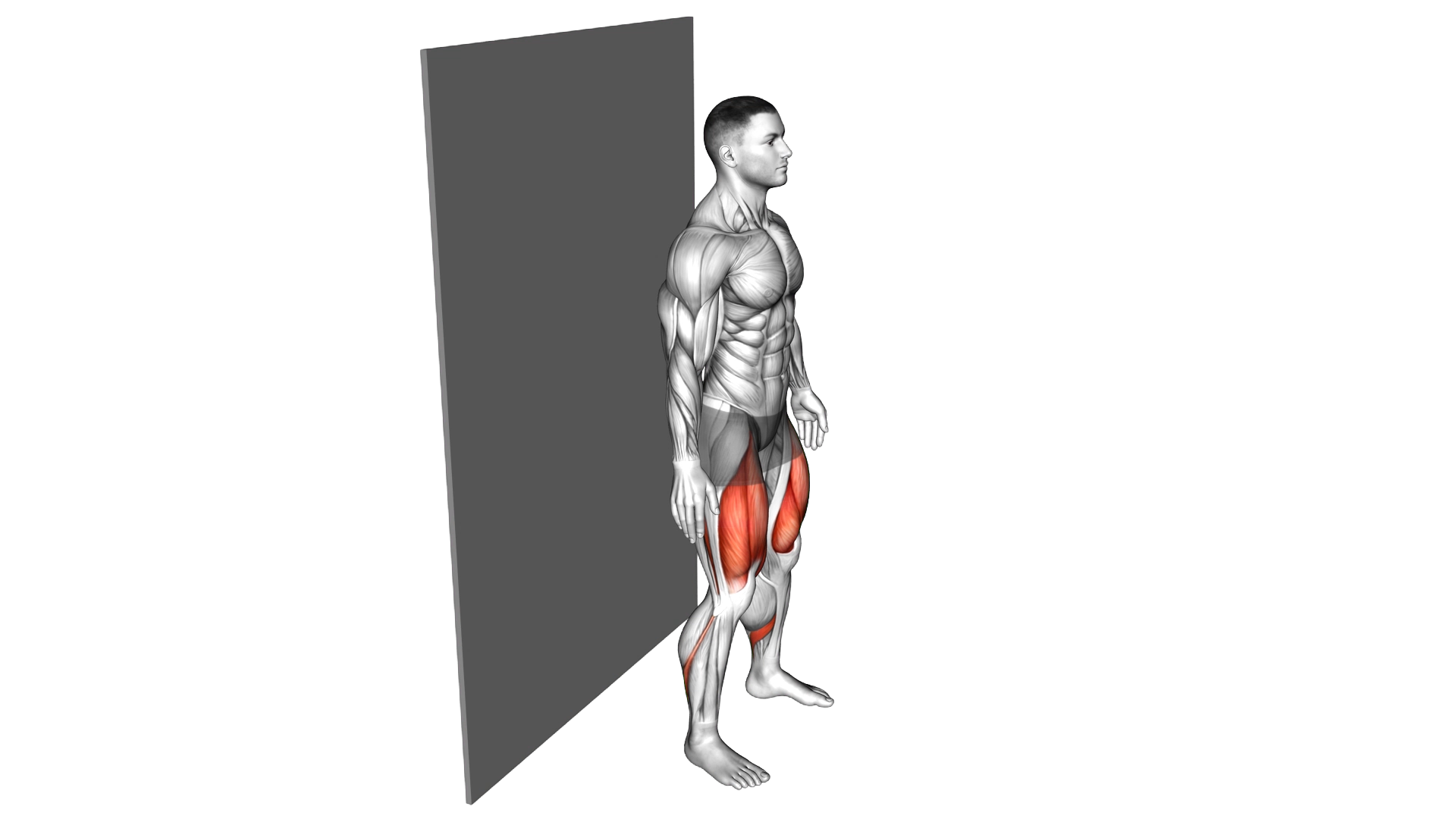 Sit (wall) exercise demonstration