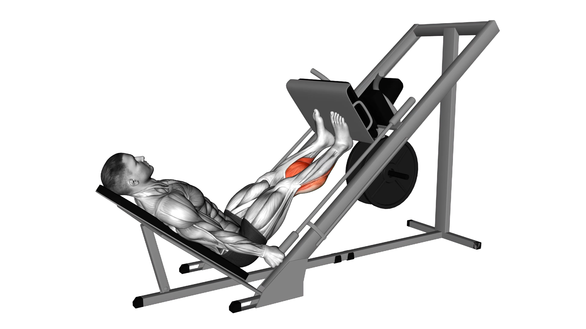 Sled 45 Calf Press exercise demonstration
