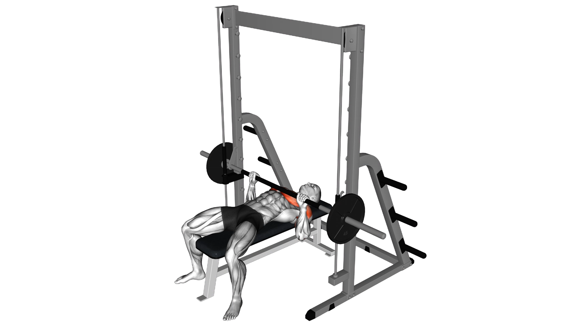 Smith Bench Press exercise demonstration