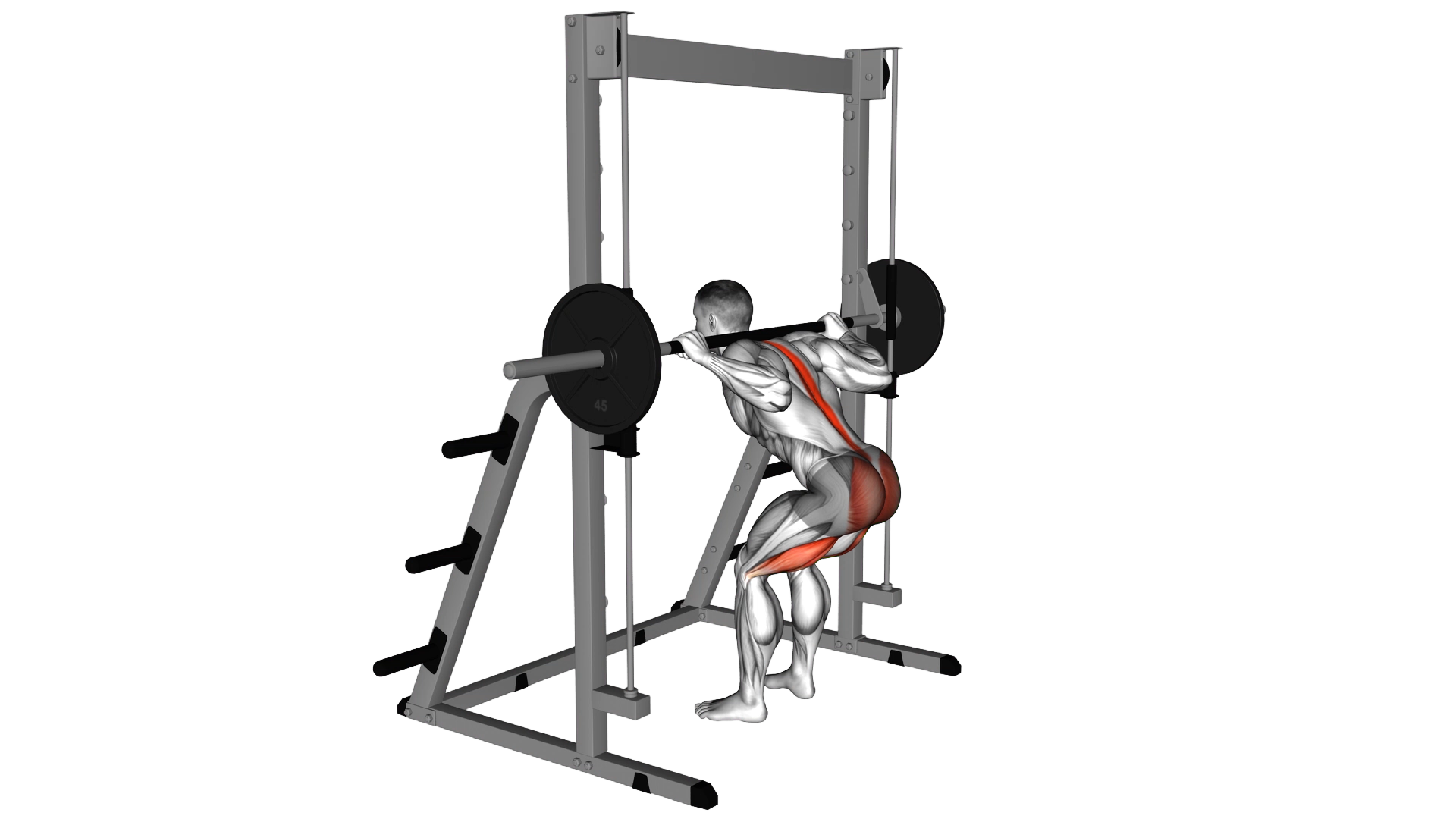 Smith Bent Knee Good morning exercise demonstration