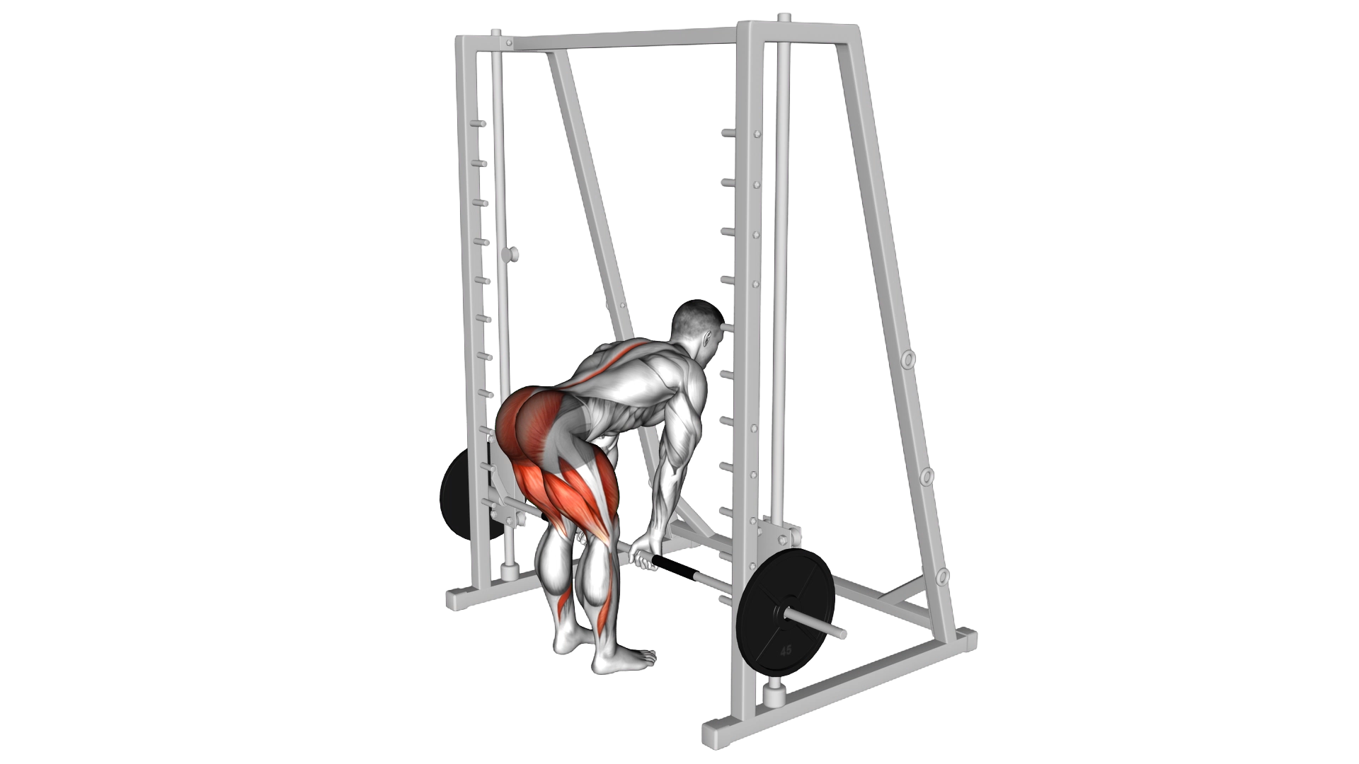 Smith Deadlift exercise thumbnail