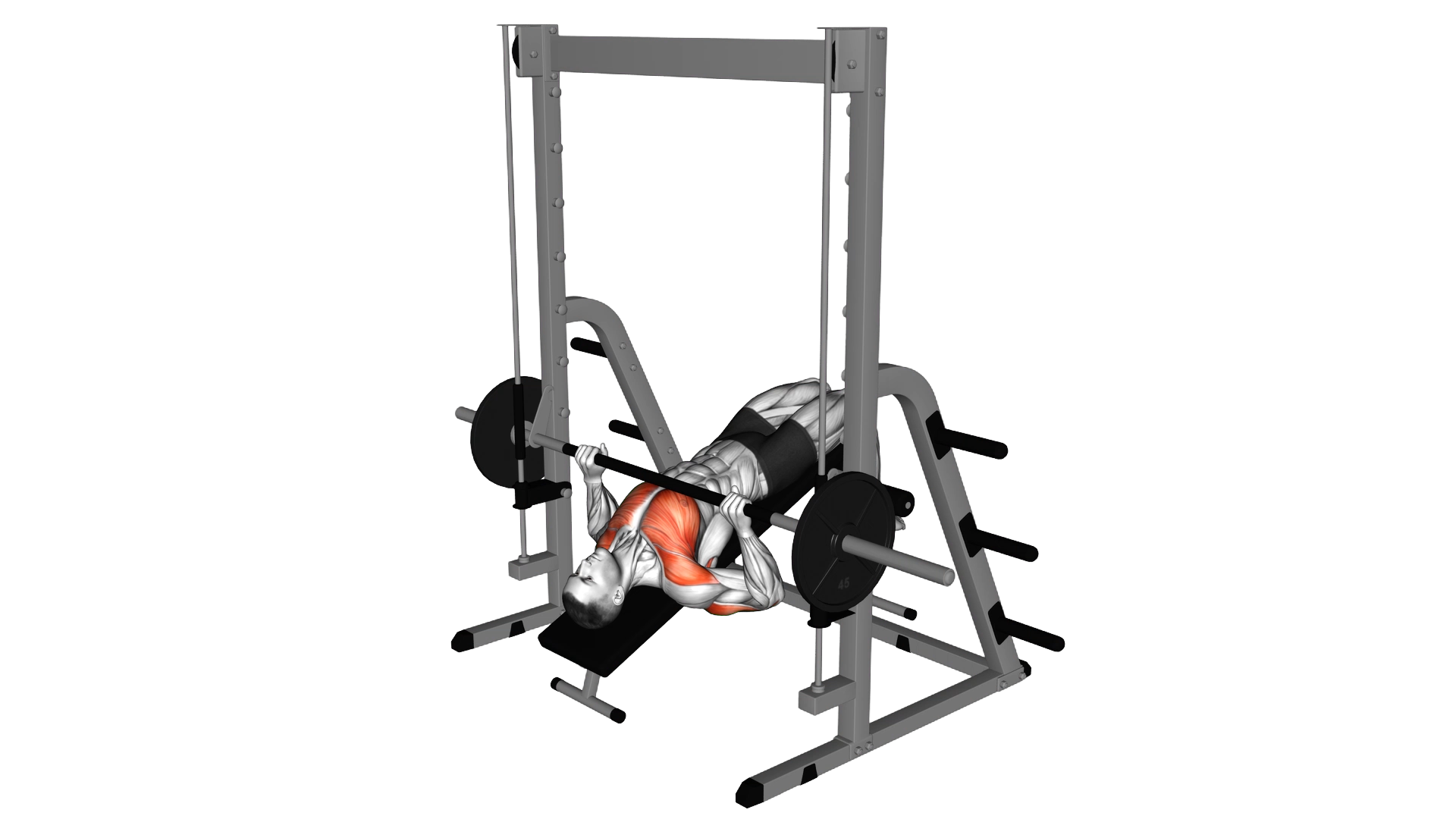 Smith Decline Bench Press exercise thumbnail