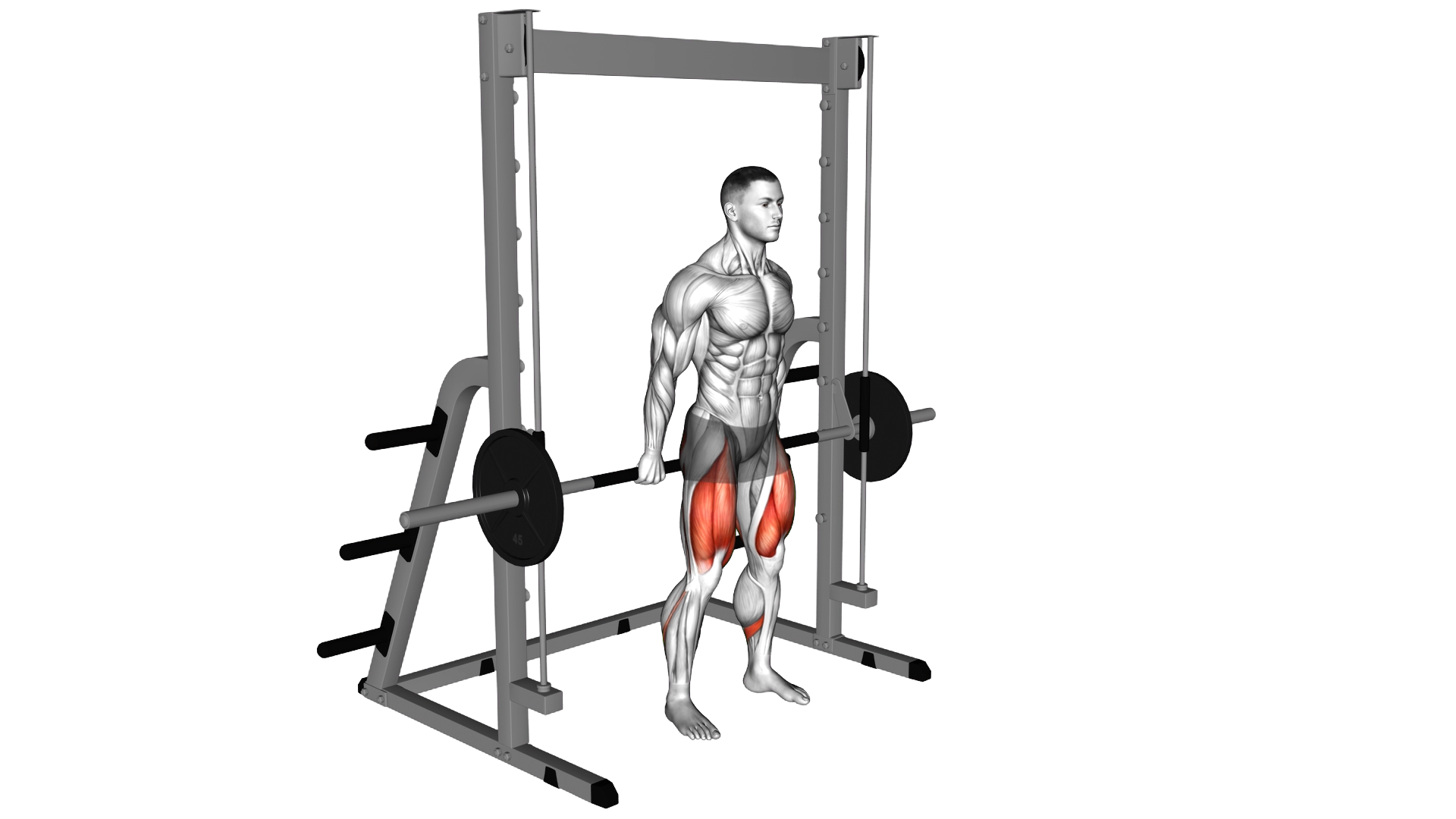 Smith Hack Squat exercise demonstration