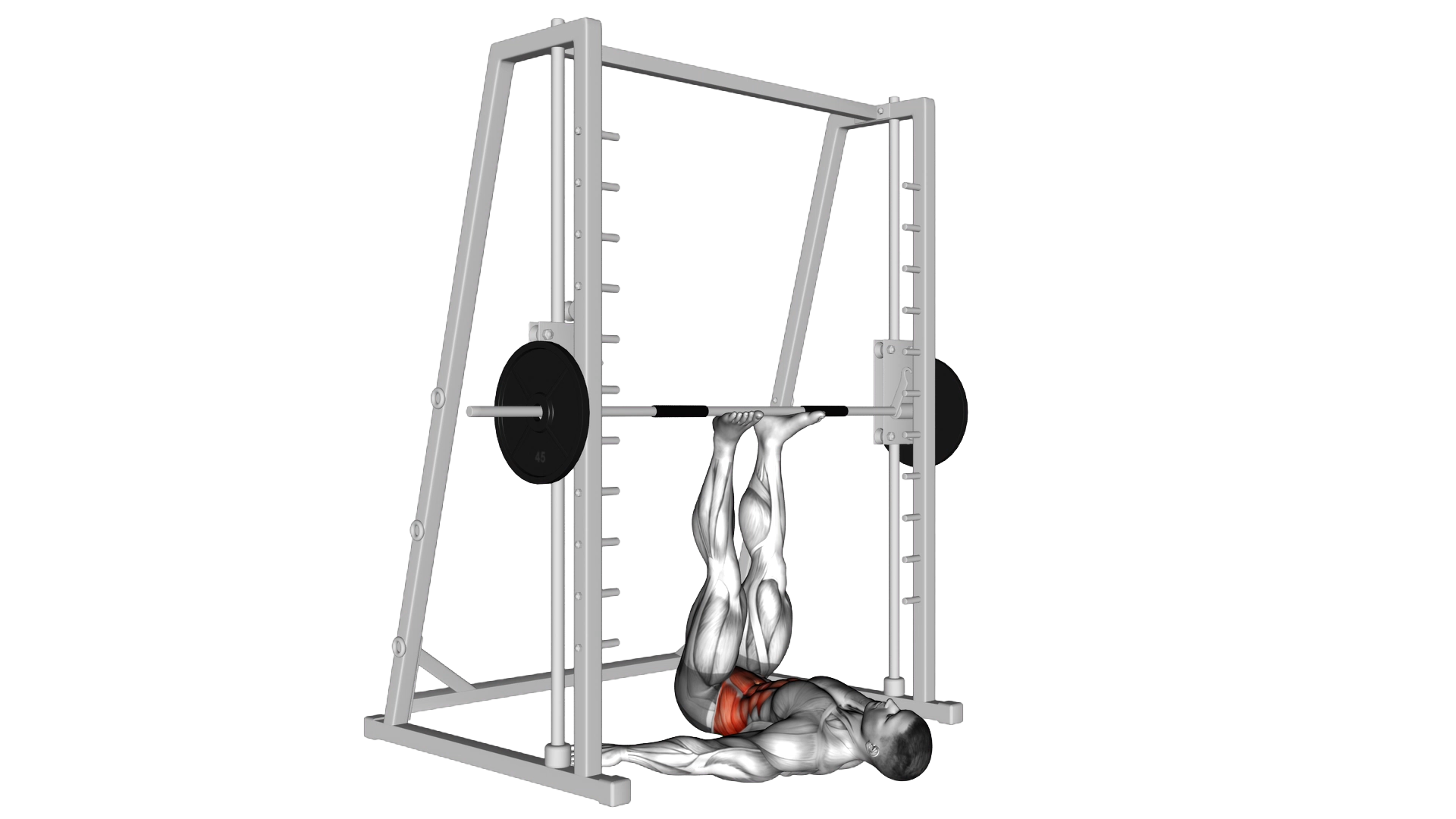 Smith Hip Raise exercise demonstration