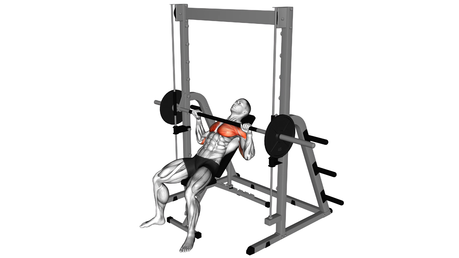 Smith Incline Bench Press exercise thumbnail