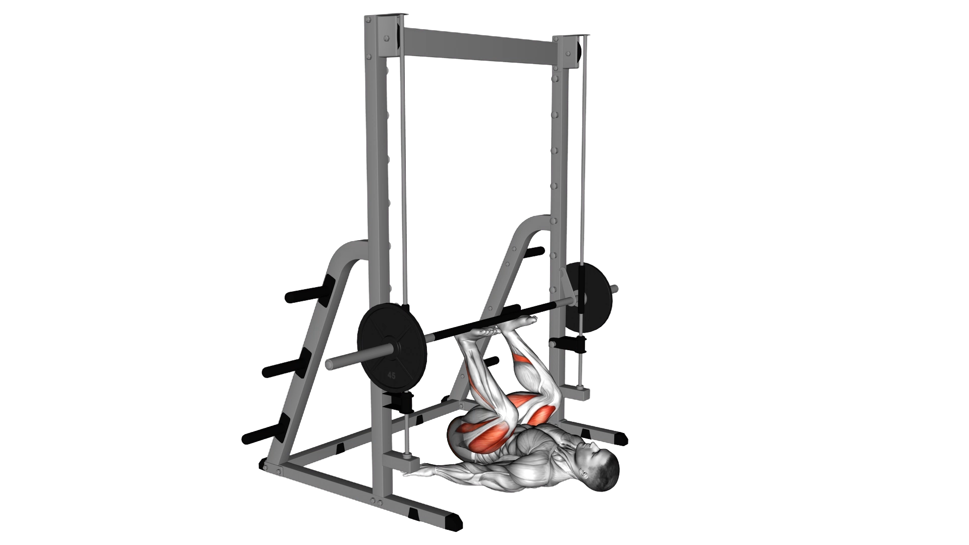 Smith Leg Press exercise thumbnail
